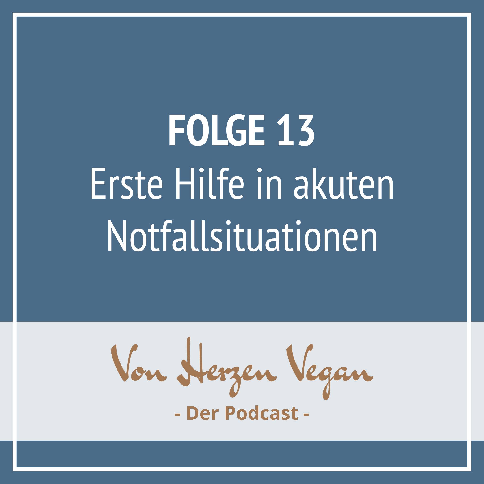 #013 - Erste Hilfe in herausfordernden Situationen episode artwork