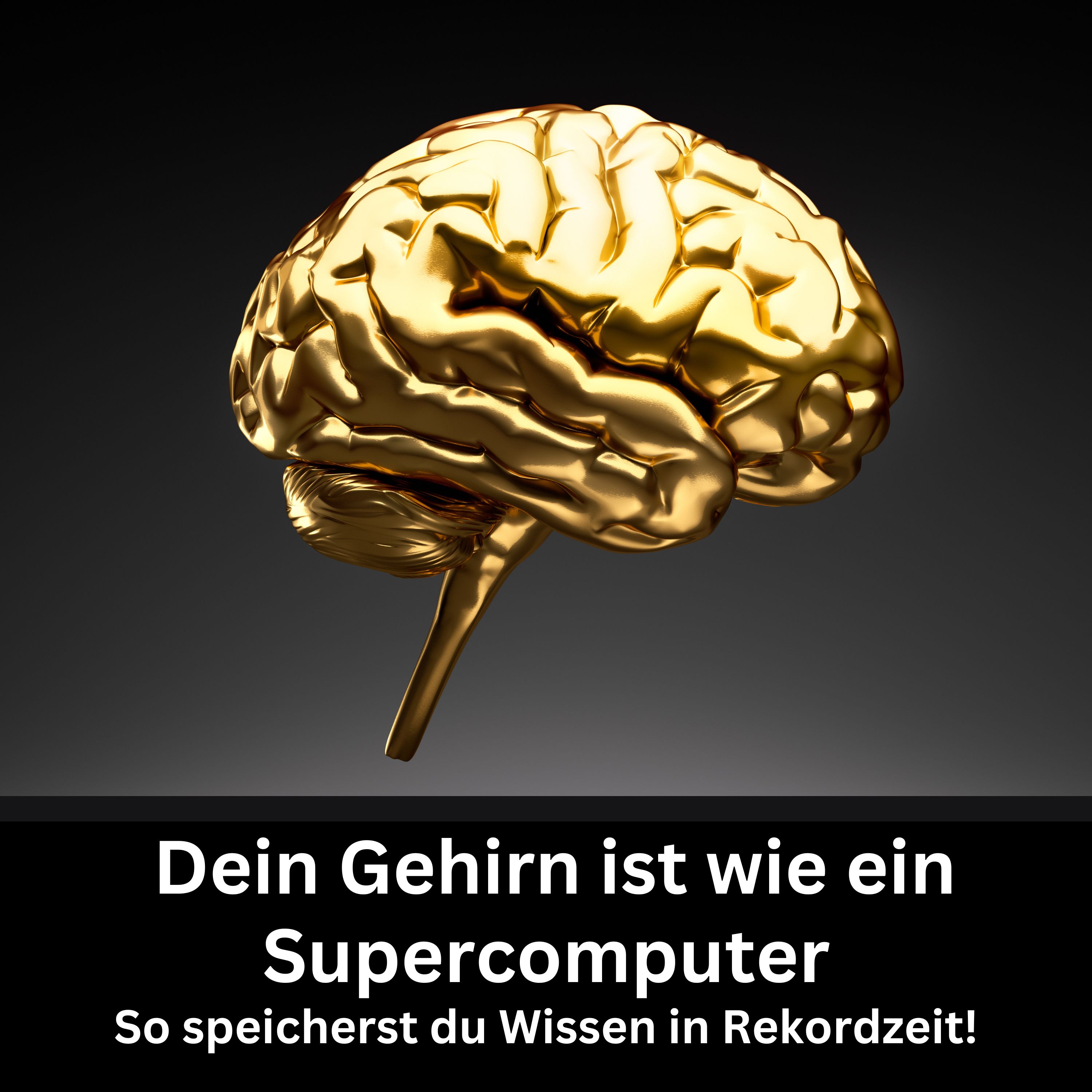#46 - Dein Gehirn ist wie ein Supercomputer episode artwork