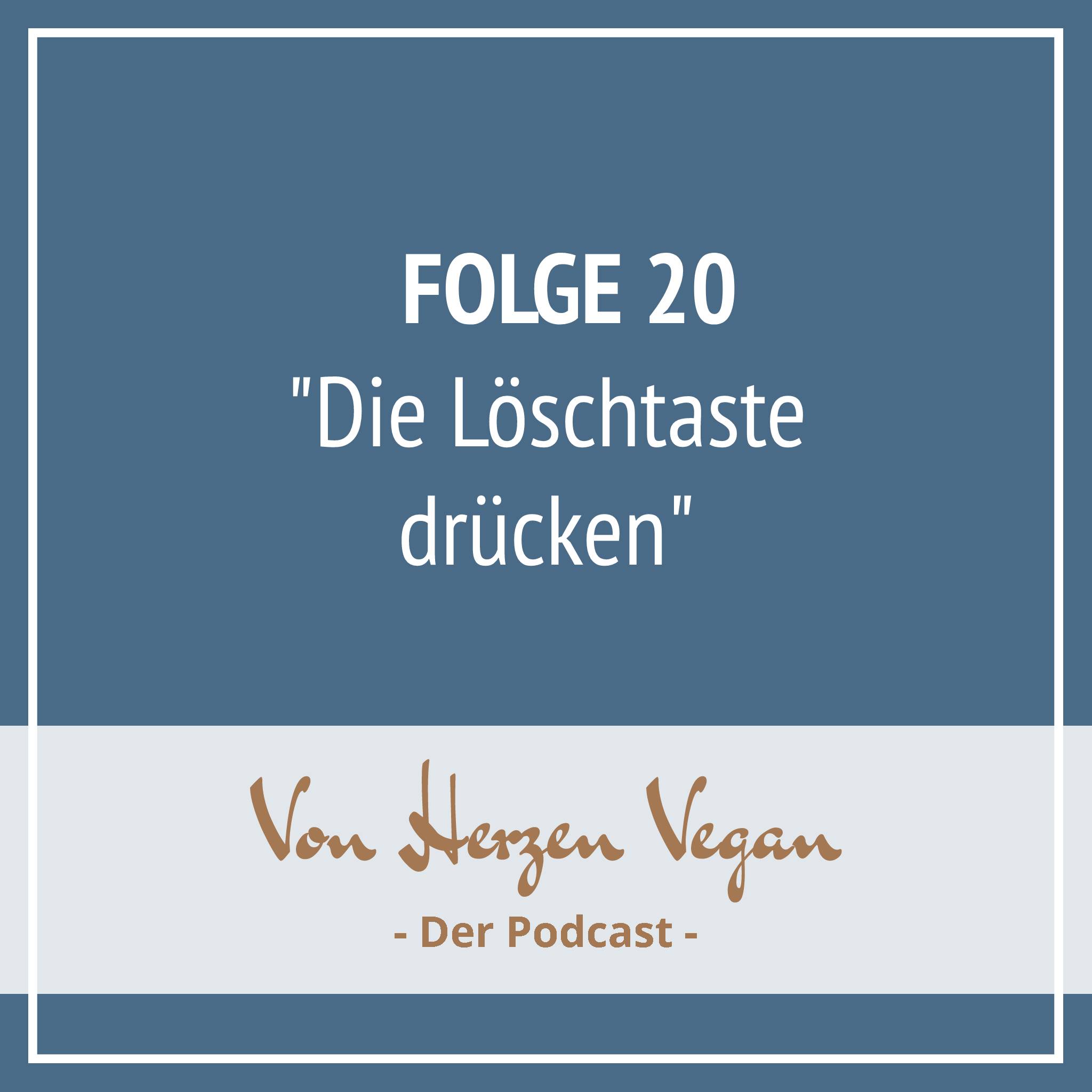 #020 - [Geschichte] "Die Löschtaste drücken" episode artwork