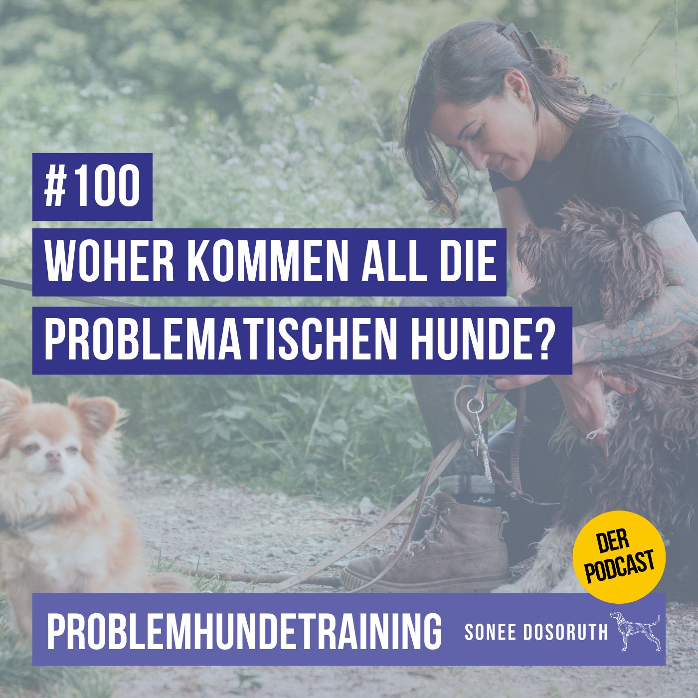 Woher kommen all die problematischen Hunde? Woher kommen all die problematischen Hunde?