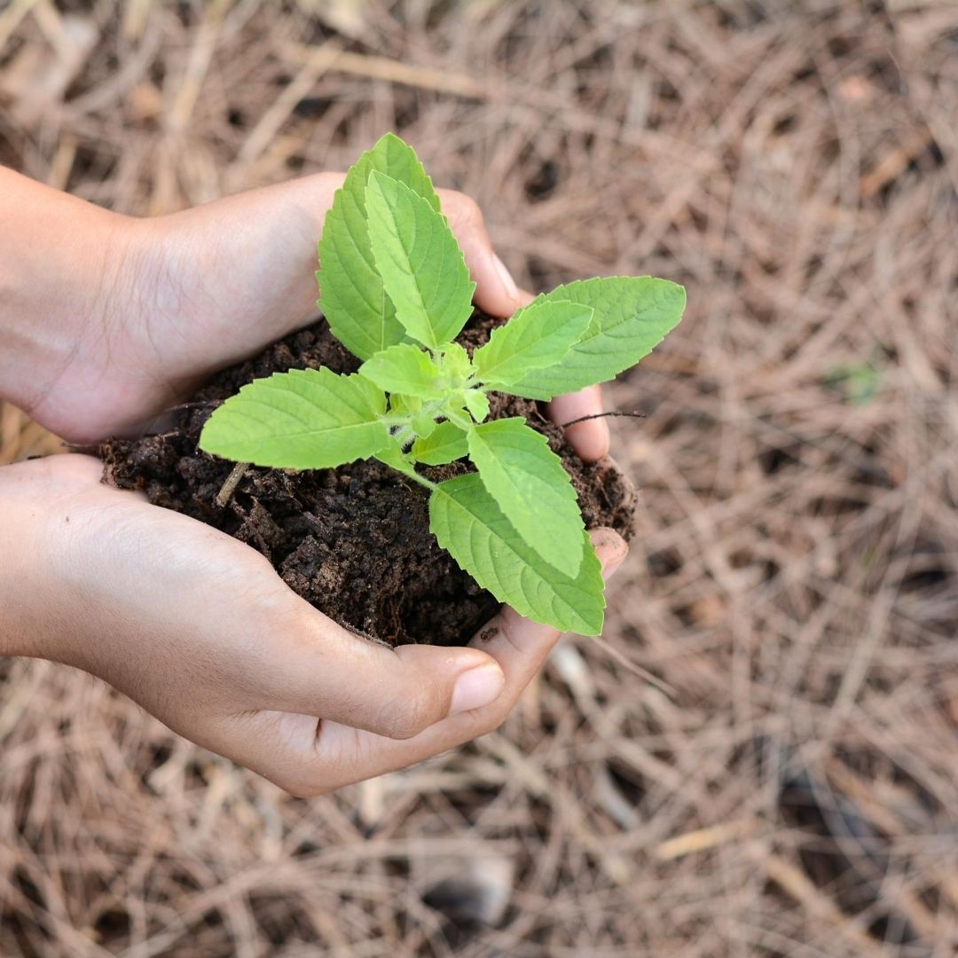 Chancen nutzen und Perspektive wechseln (in der Corona Zeit)