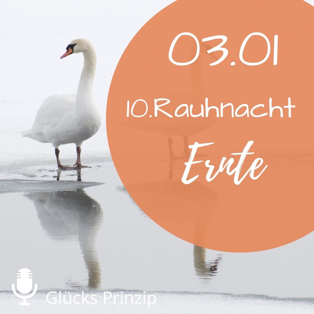 10. Rauhnacht ⭐️Ernte ⭐️ am 03.01 steht für den Oktober