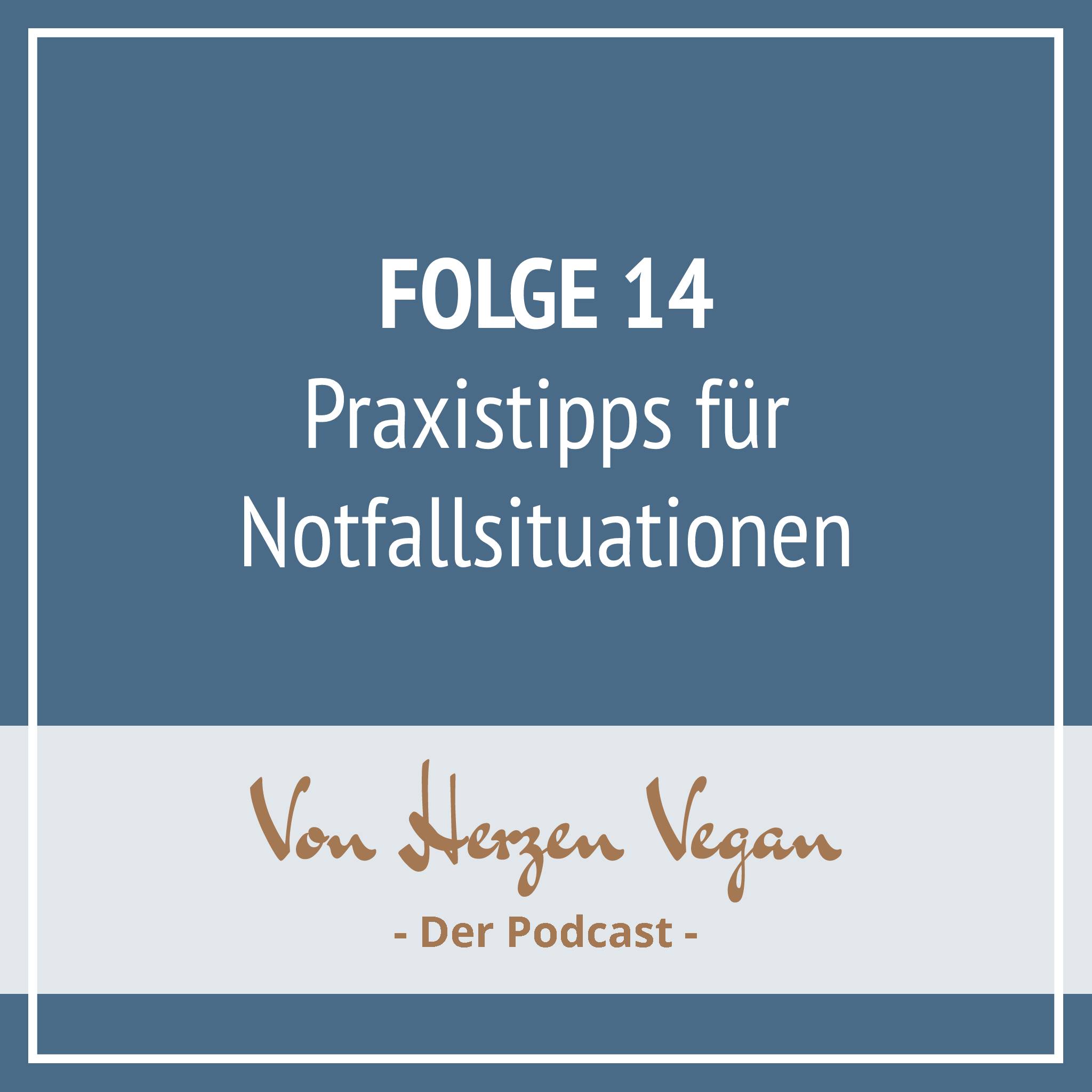 #014 - [Interview] So bleibst Du in akuten Situationen bei Dir episode artwork