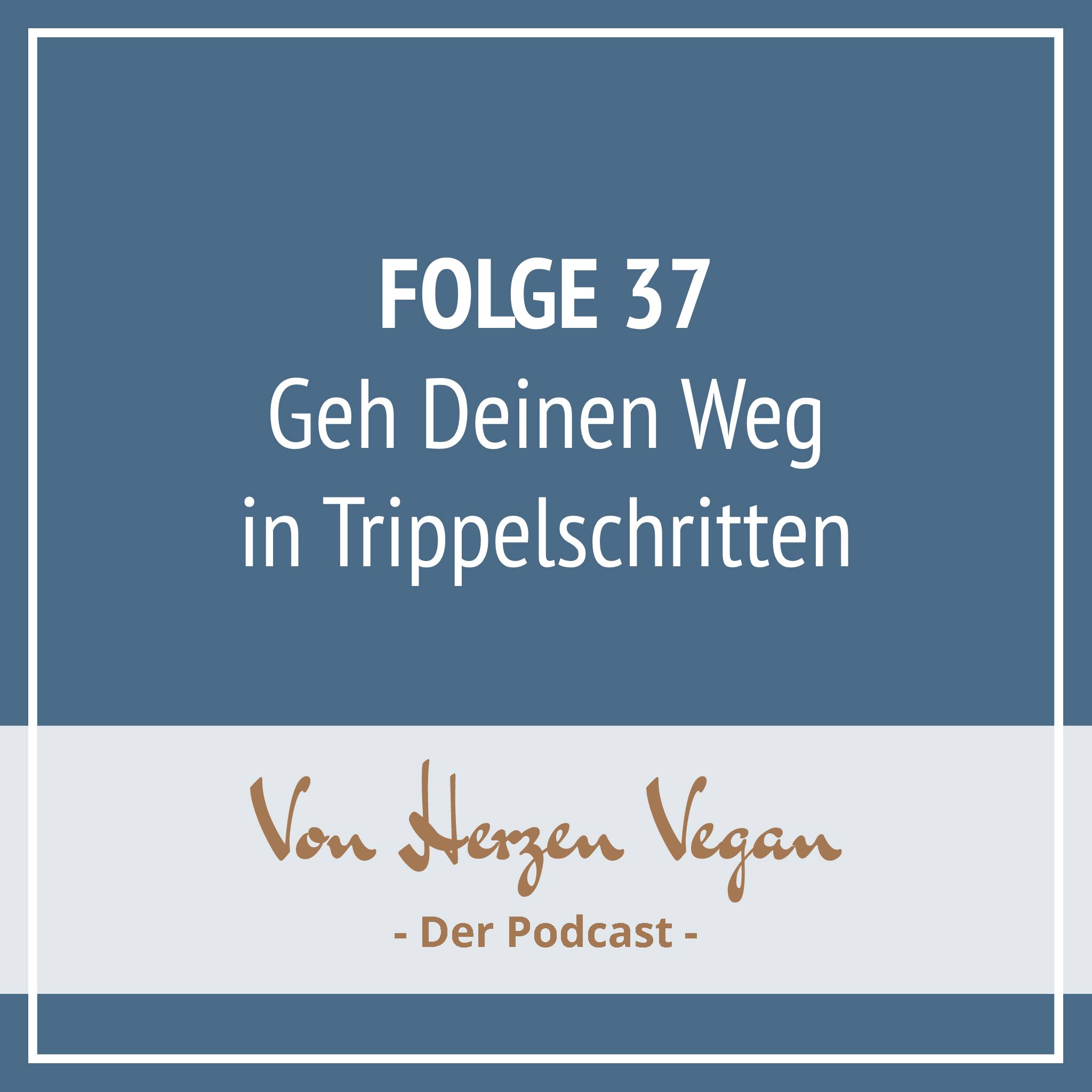 #037 - Geh Deinen Weg in winzigkleinen Trippelschritten episode artwork