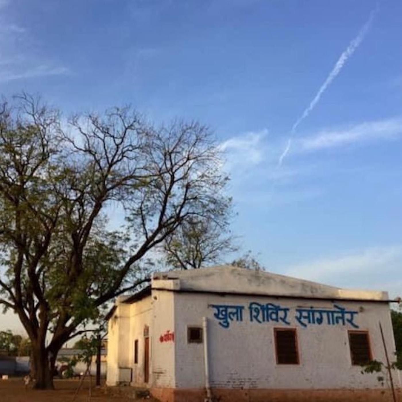 The Squirrel News Podcast