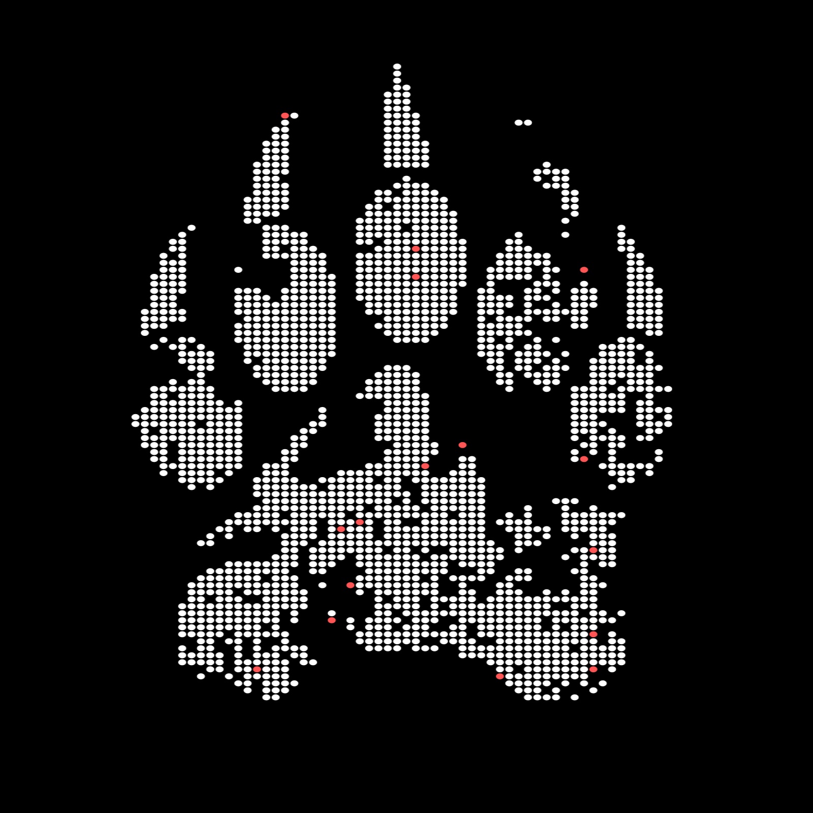 BEARcast - Motorrad Reise Podcast