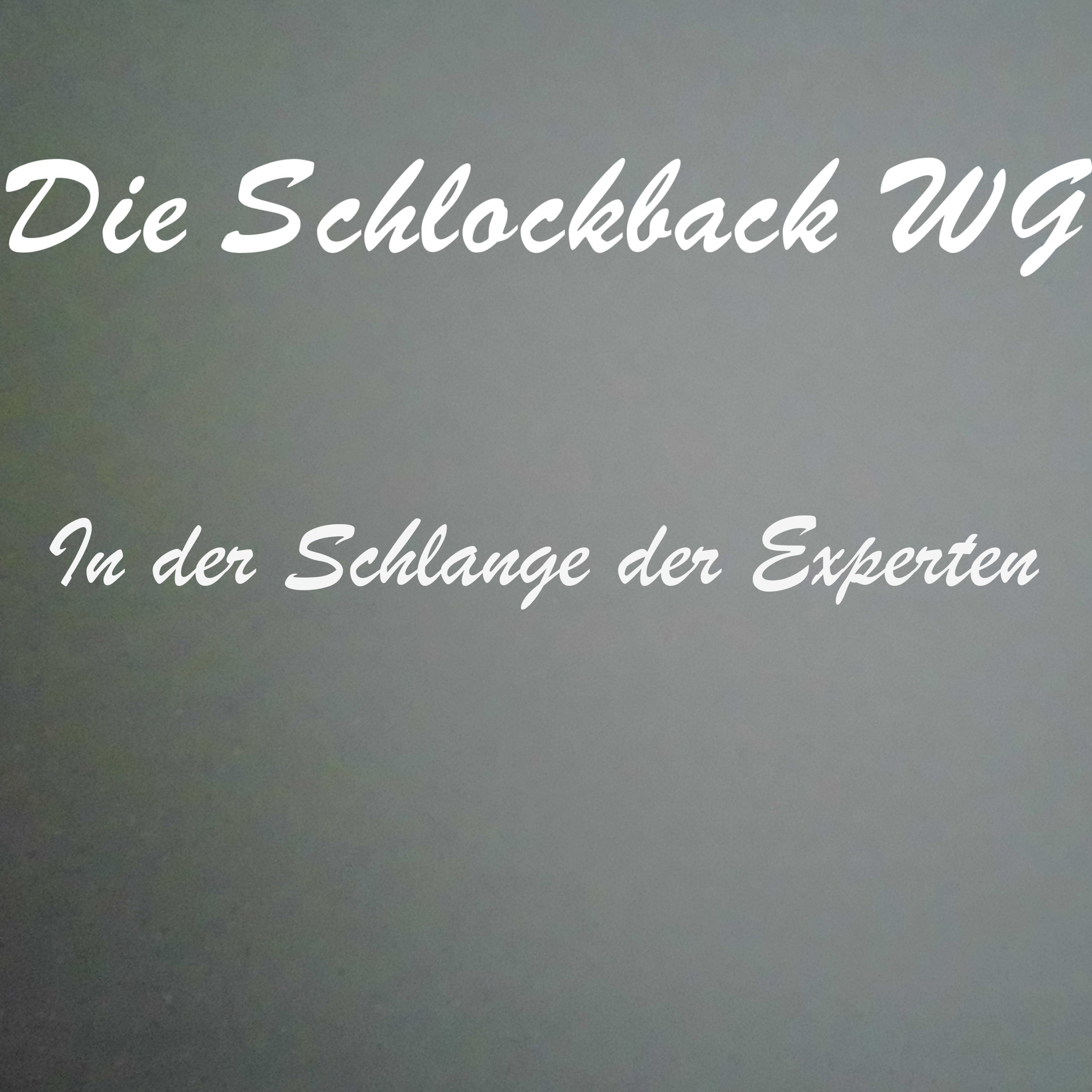 In der Schlange der Experten episode artwork