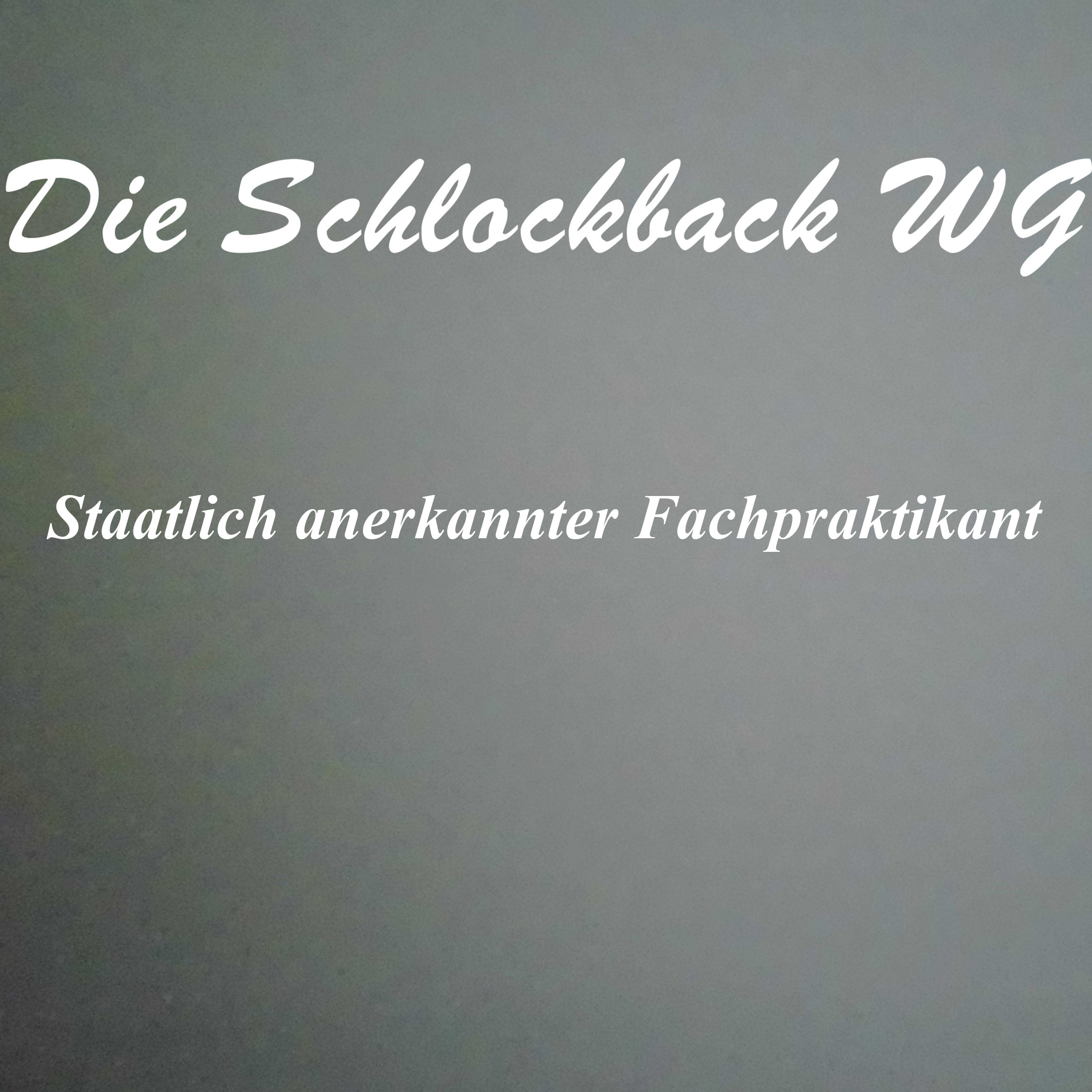 Staatlich anerkannter Fachpraktikant episode artwork