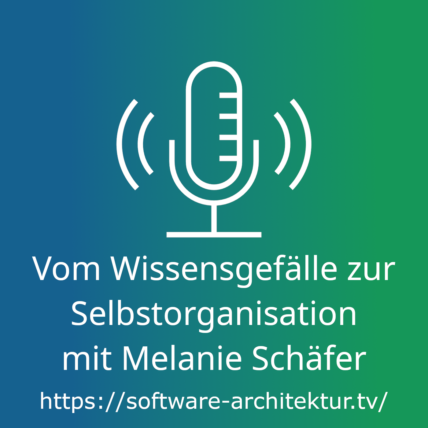 Vom Wissensgefälle zur Selbstorganisation mit Melanie Schäfer