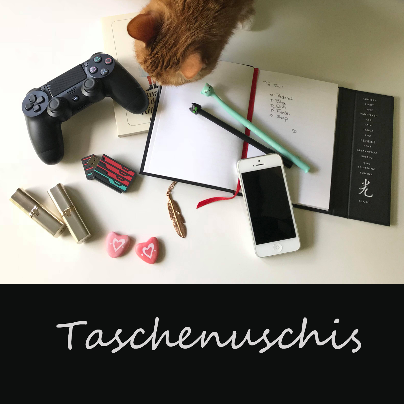Taschenuschis