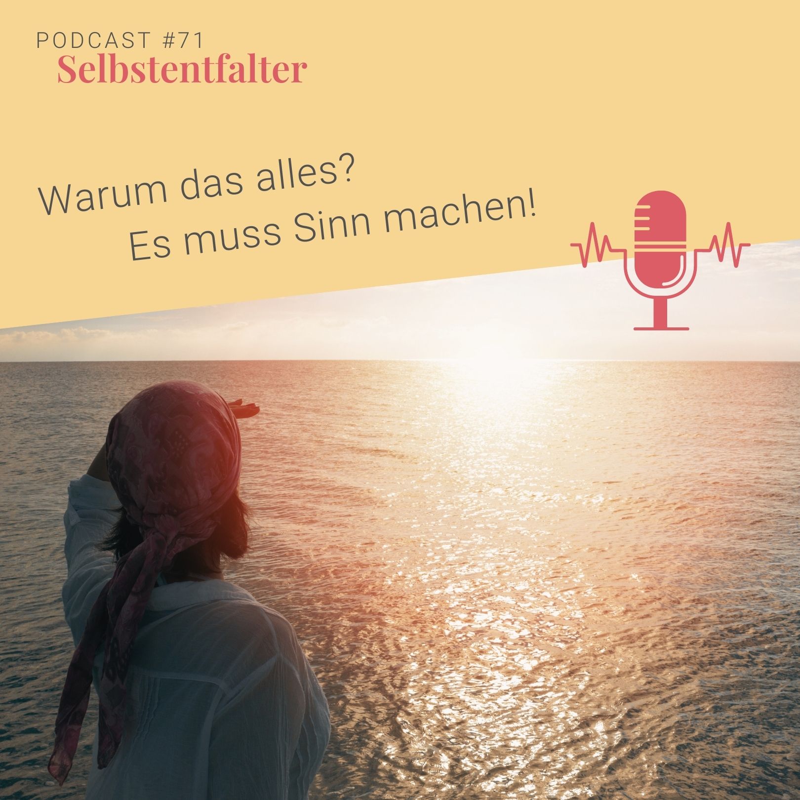 Warum das alles? Es muss Sinn machen! episode artwork