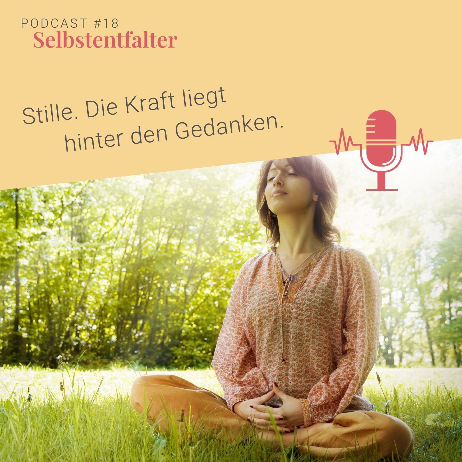Stille. Die Kraft liegt hinter den Gedanken. episode artwork