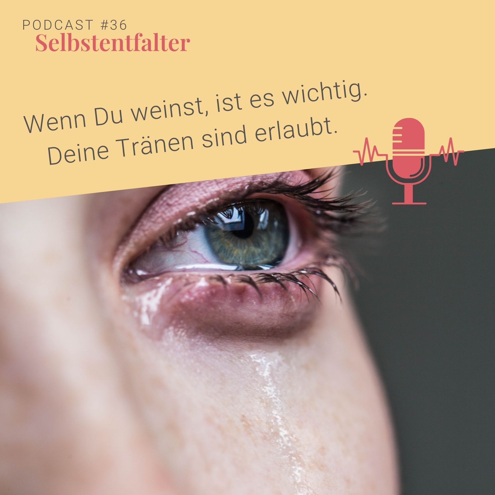 Wenn Du weinst, ist es wichtig. Deine Tränen sind erlaubt. episode artwork