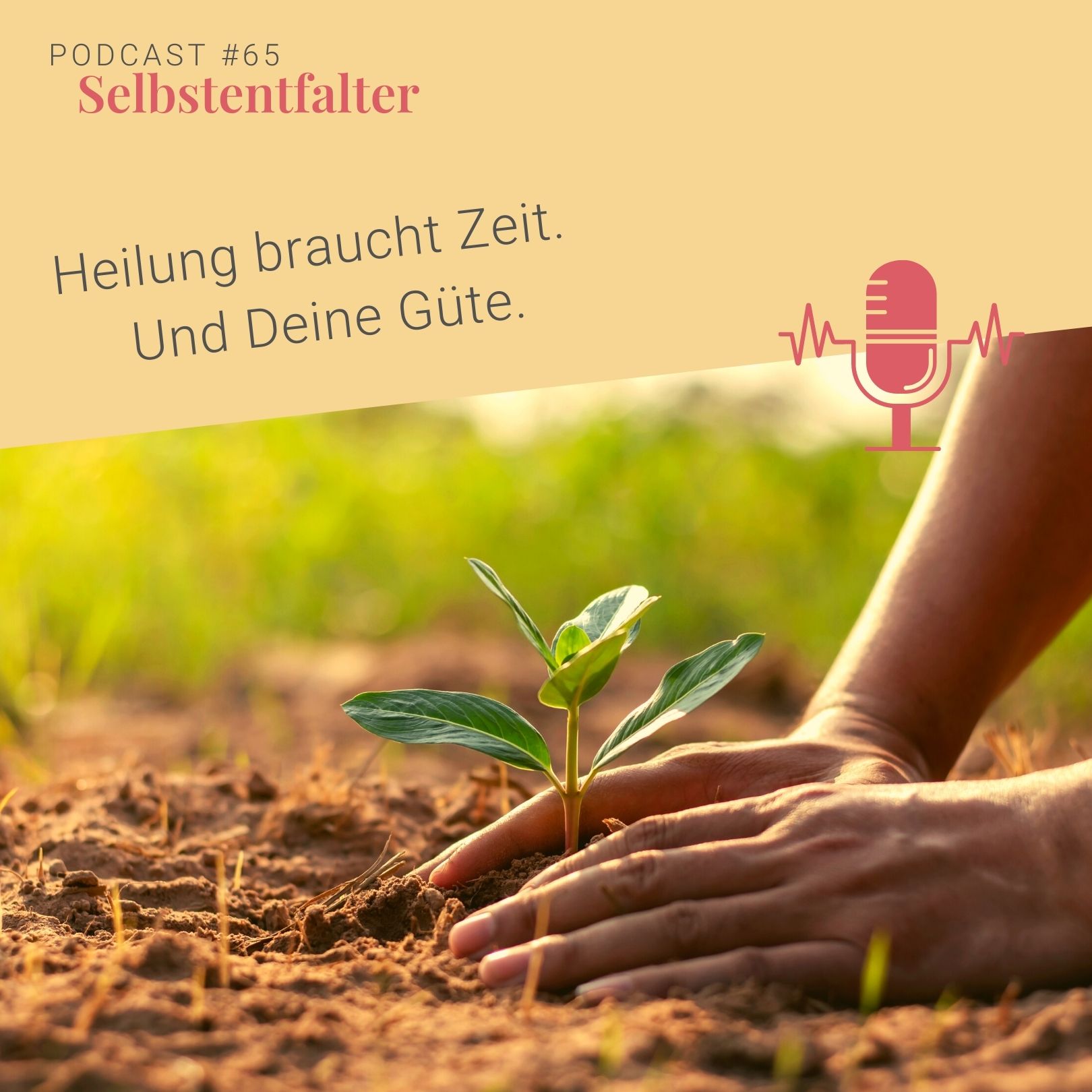 Heilung braucht Zeit. Und Deine Güte. episode artwork