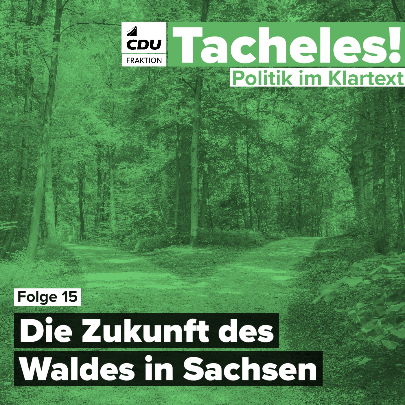 Tacheles! Politik im Klartext