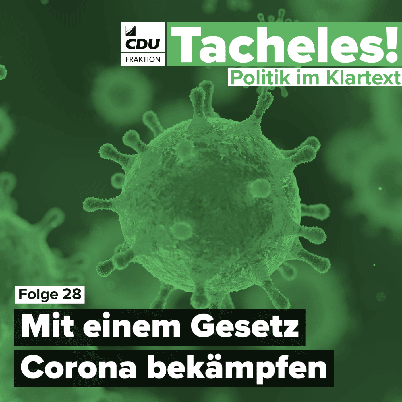 Tacheles! Politik im Klartext