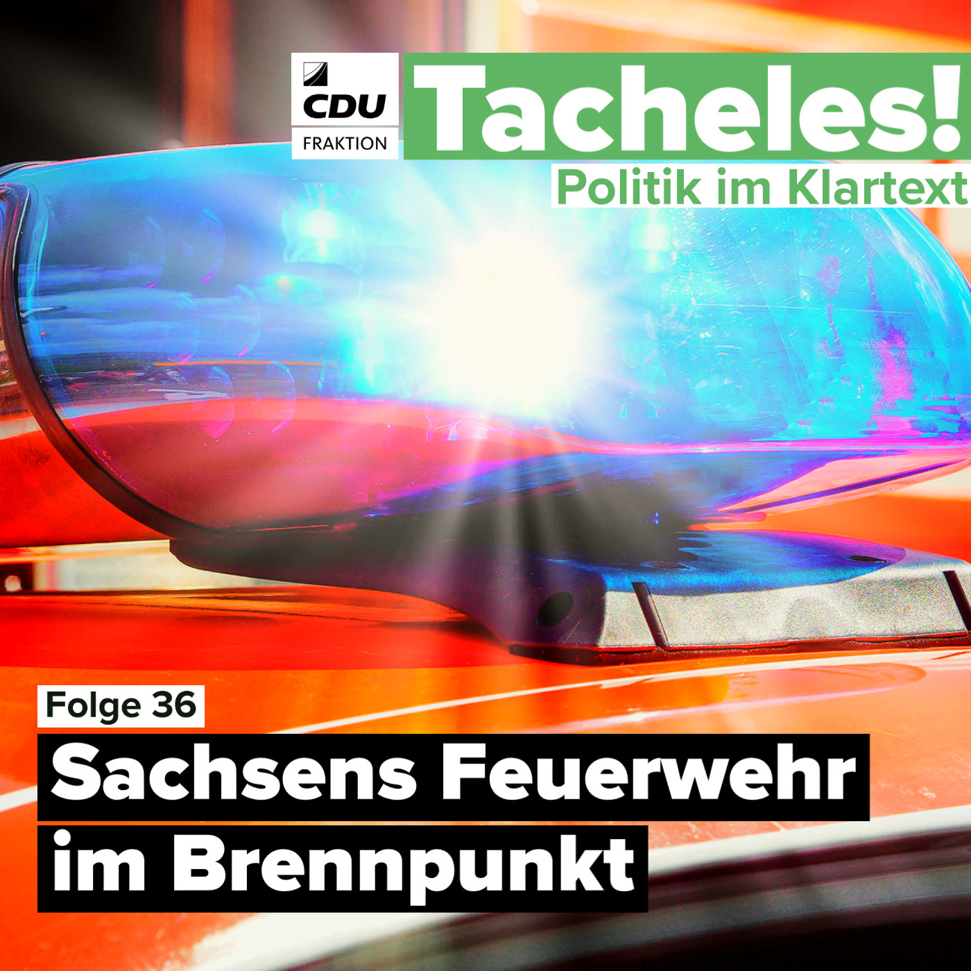 Tacheles! Politik im Klartext