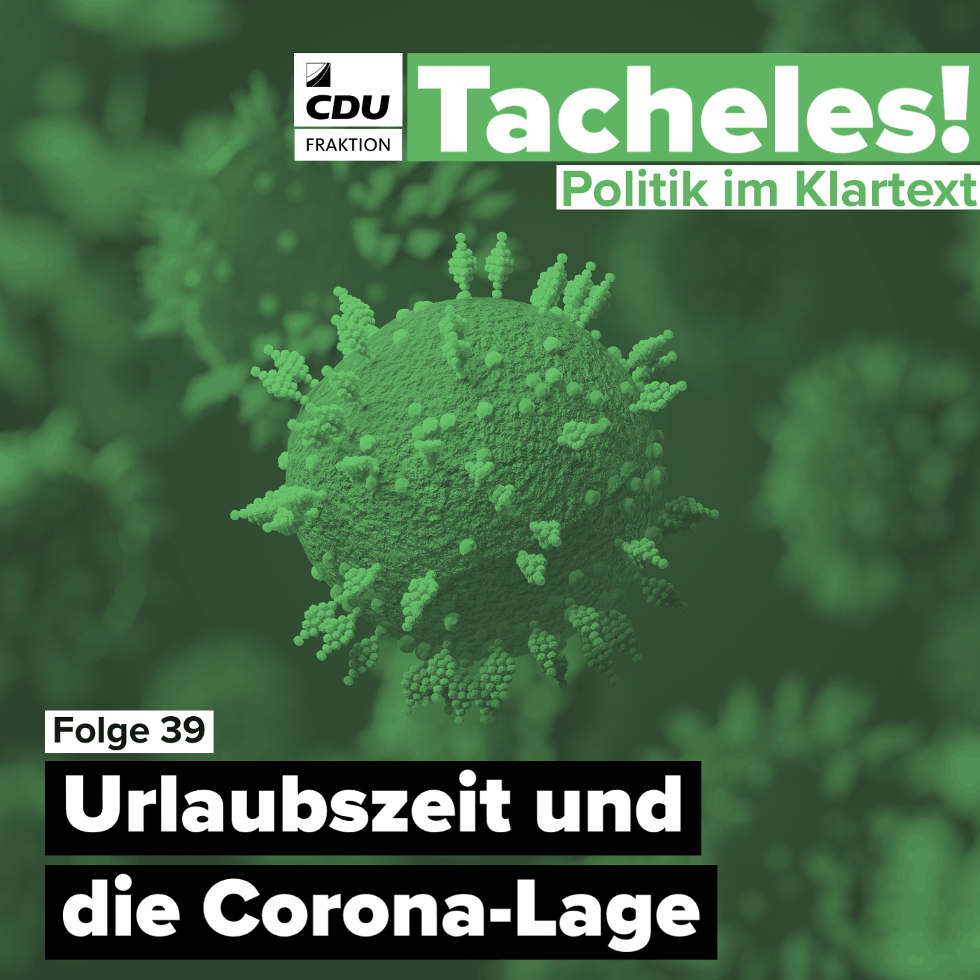 Tacheles! Politik im Klartext