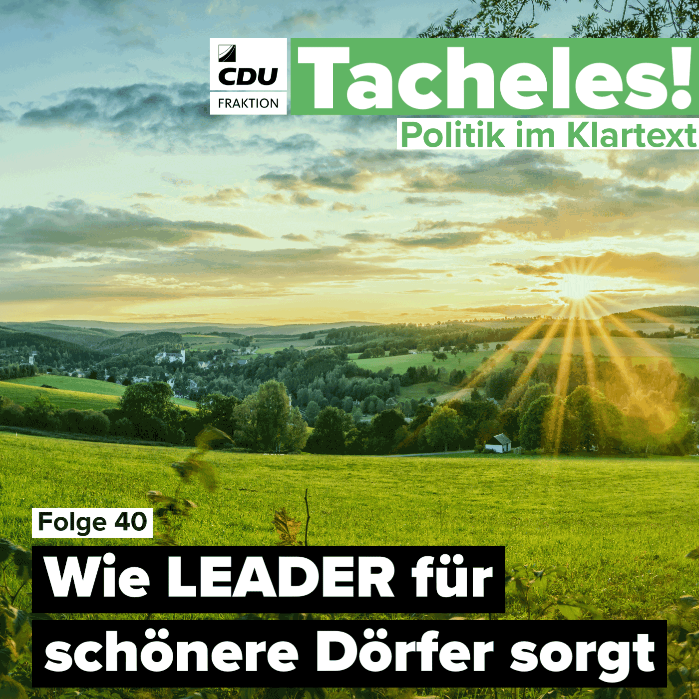 Tacheles! Politik im Klartext