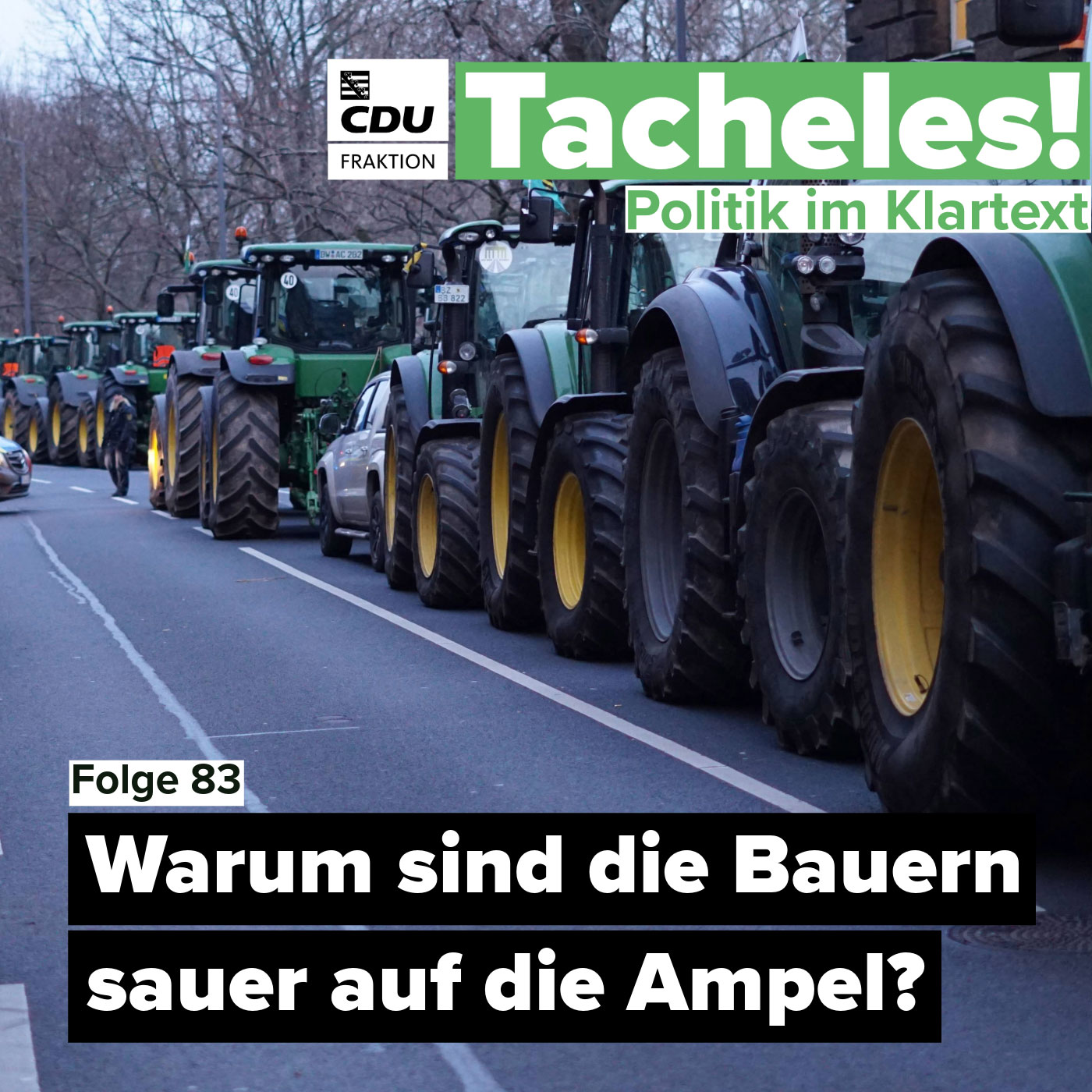 Tacheles! Politik im Klartext