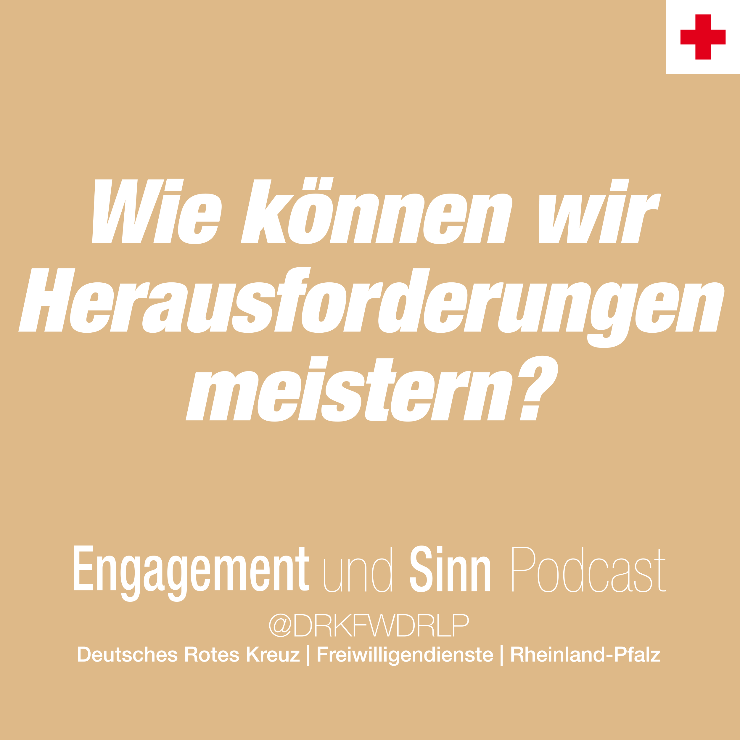 Wie können wir Herausforderungen meistern? episode artwork