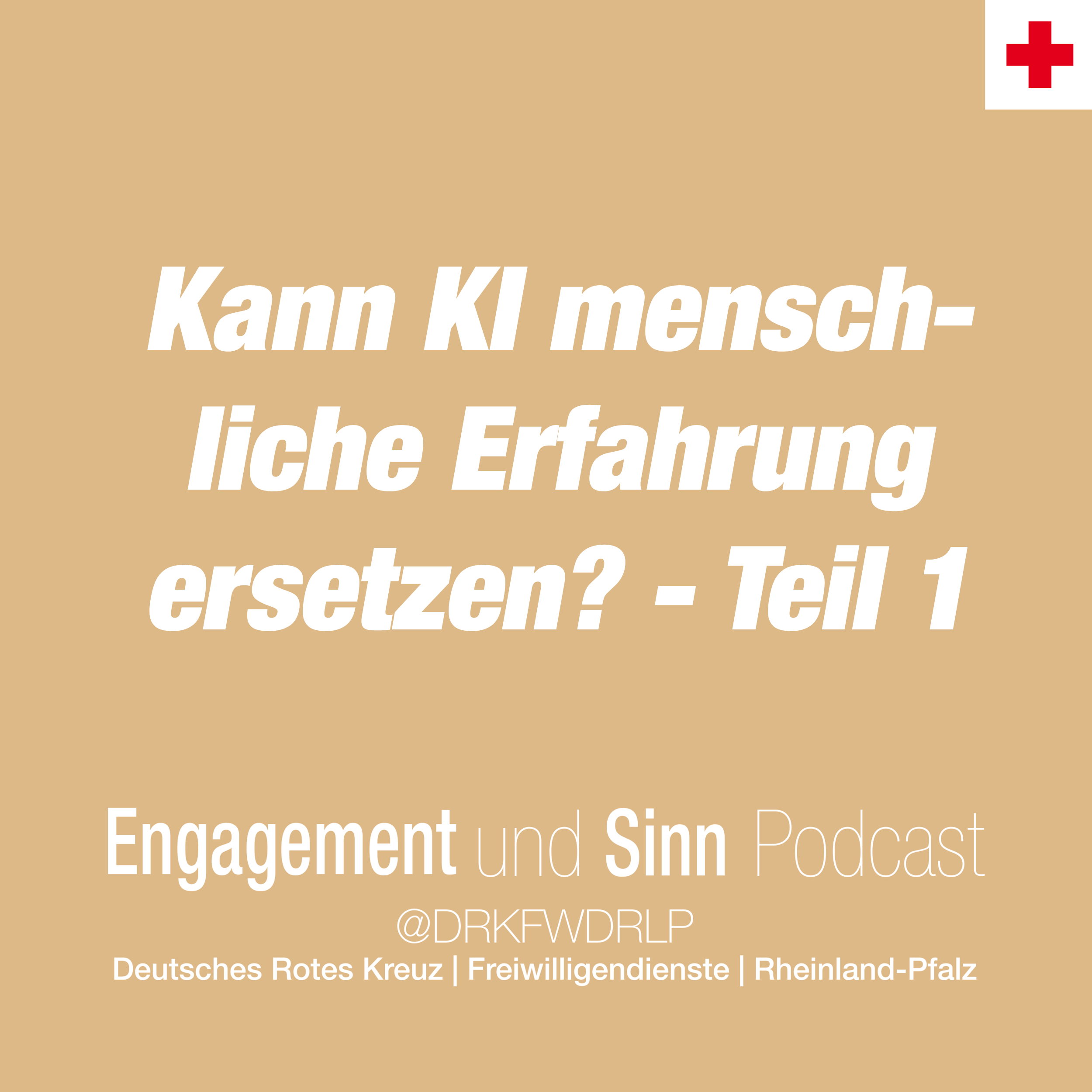 Kann KI menschliche Erfahrung ersetzen? - Teil 1  KI im Rettungsdienst episode artwork
