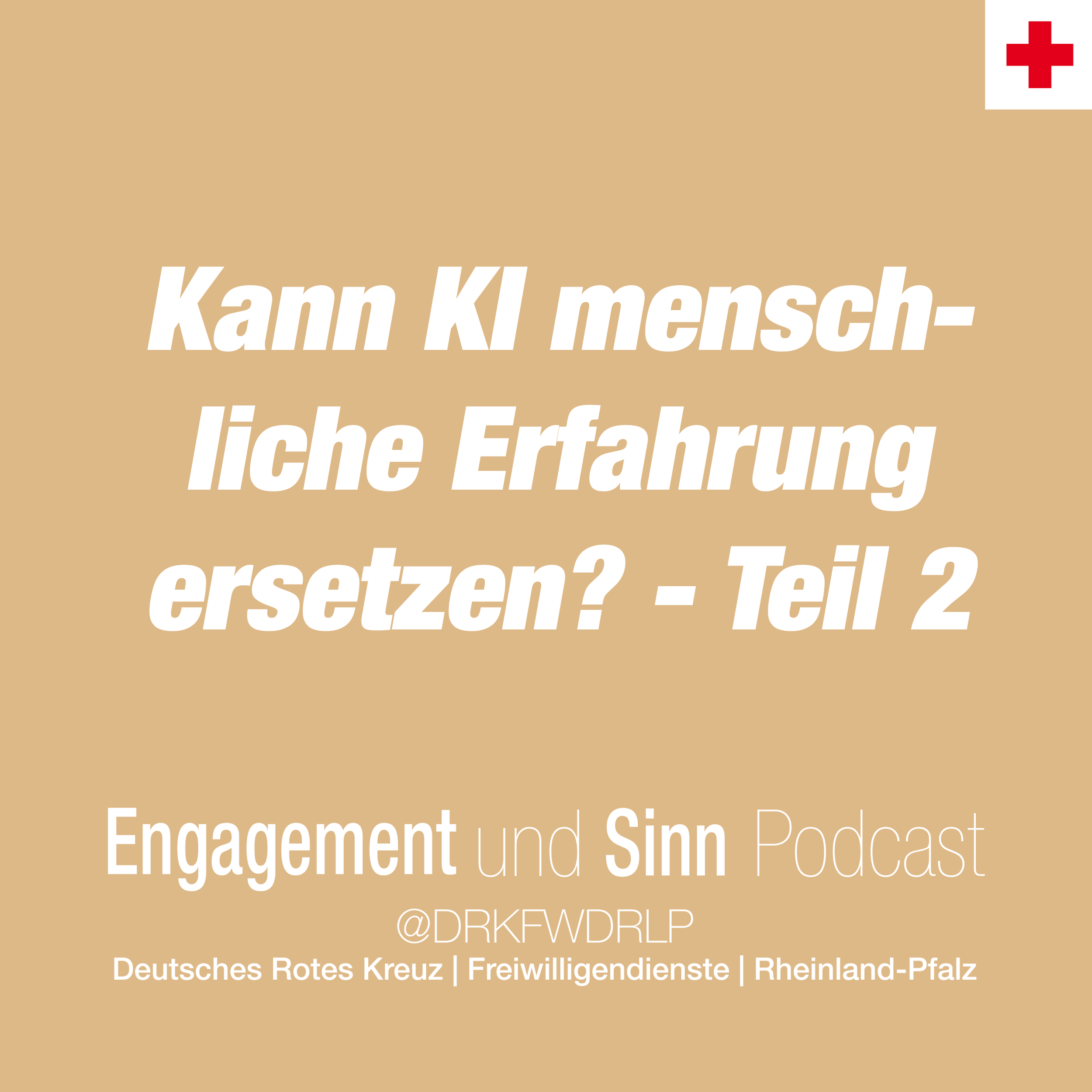 Kann KI menschliche Erfahrung ersetzen? - Teil 2 episode artwork
