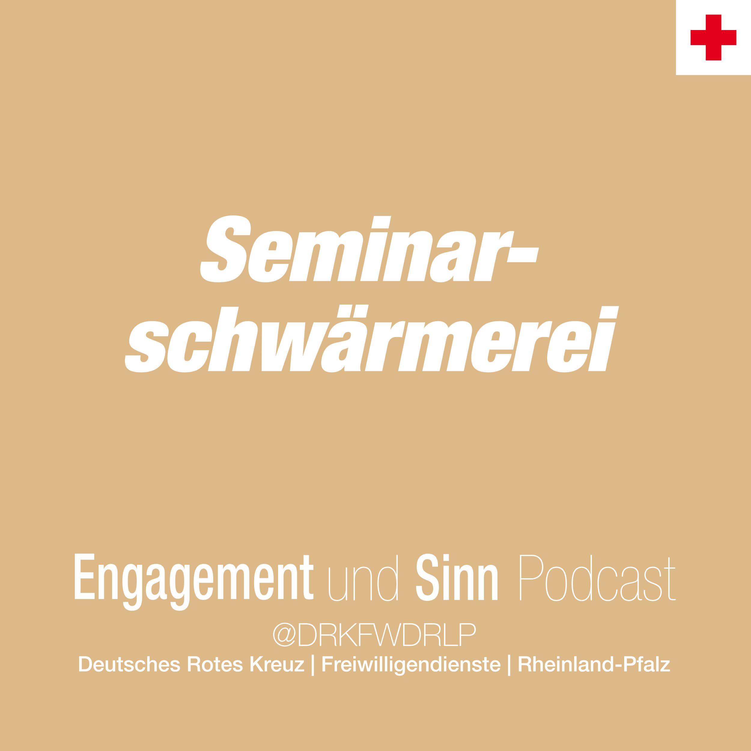 Seminarschwärmerei episode artwork