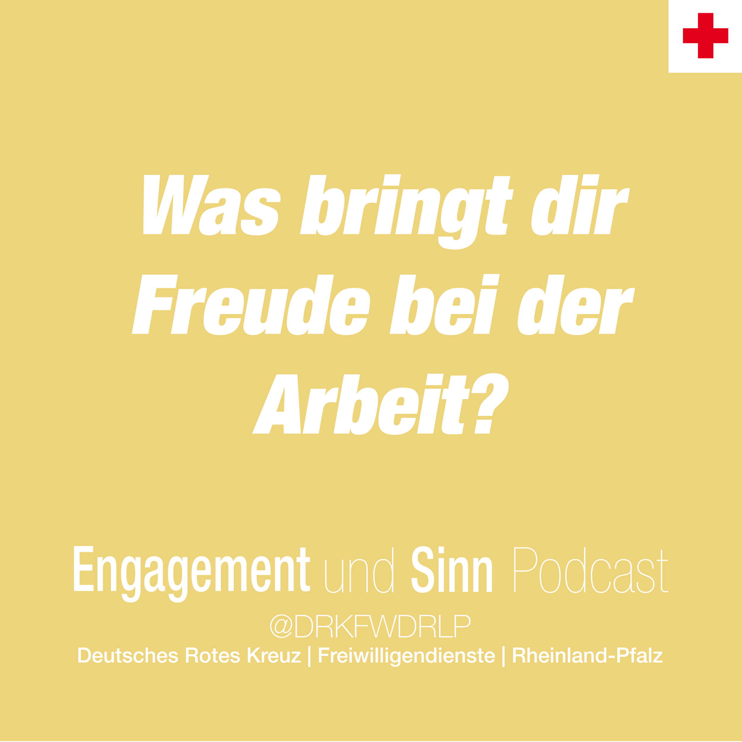 Was bringt dir Freude bei der Arbeit episode artwork