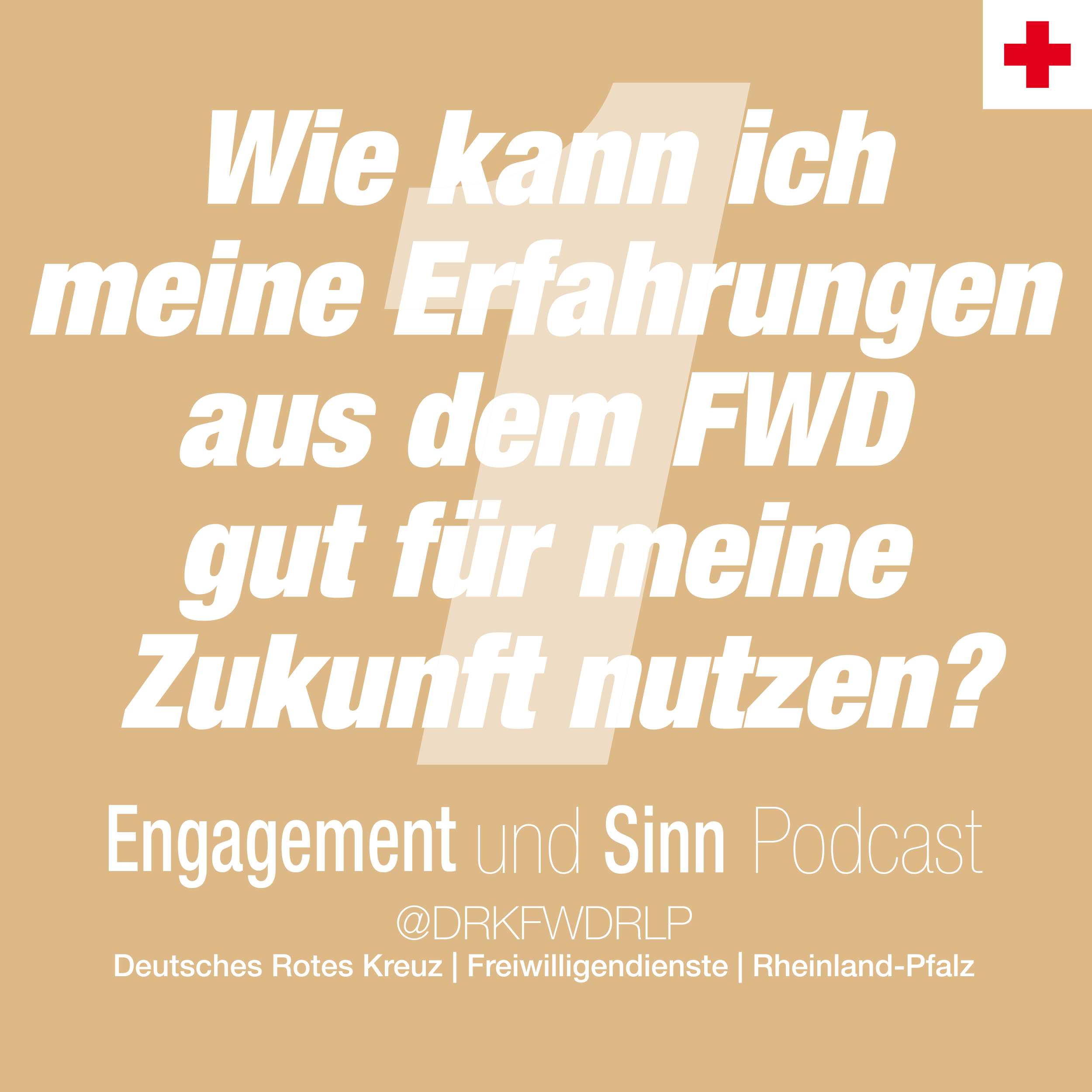 Wie kann ich meine Erfahrungen aus dem FWD gut für meine Zukunft nutzen? - 1 episode artwork