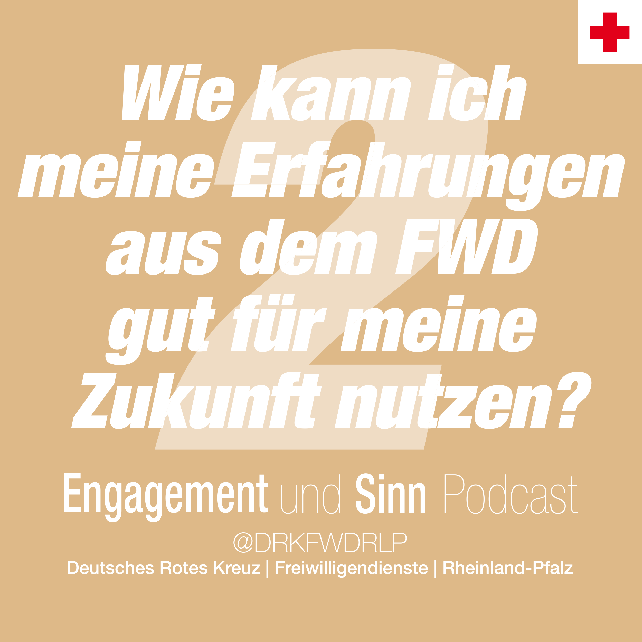 Wie kann ich meine Erfahrungen aus dem FWD gut für meine Zukunft nutzen? - 2 episode artwork