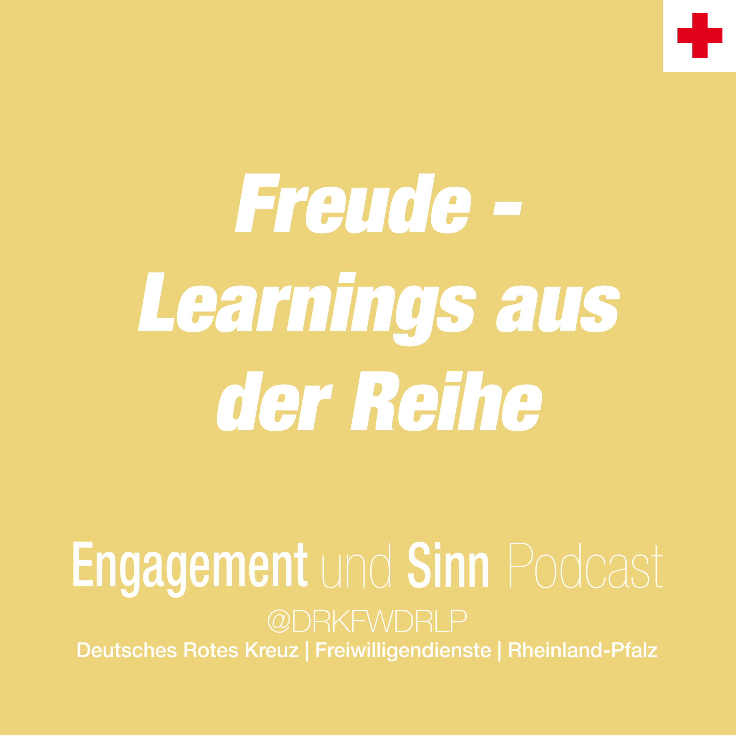 Freude erleben - Learnings aus der Reihe episode artwork