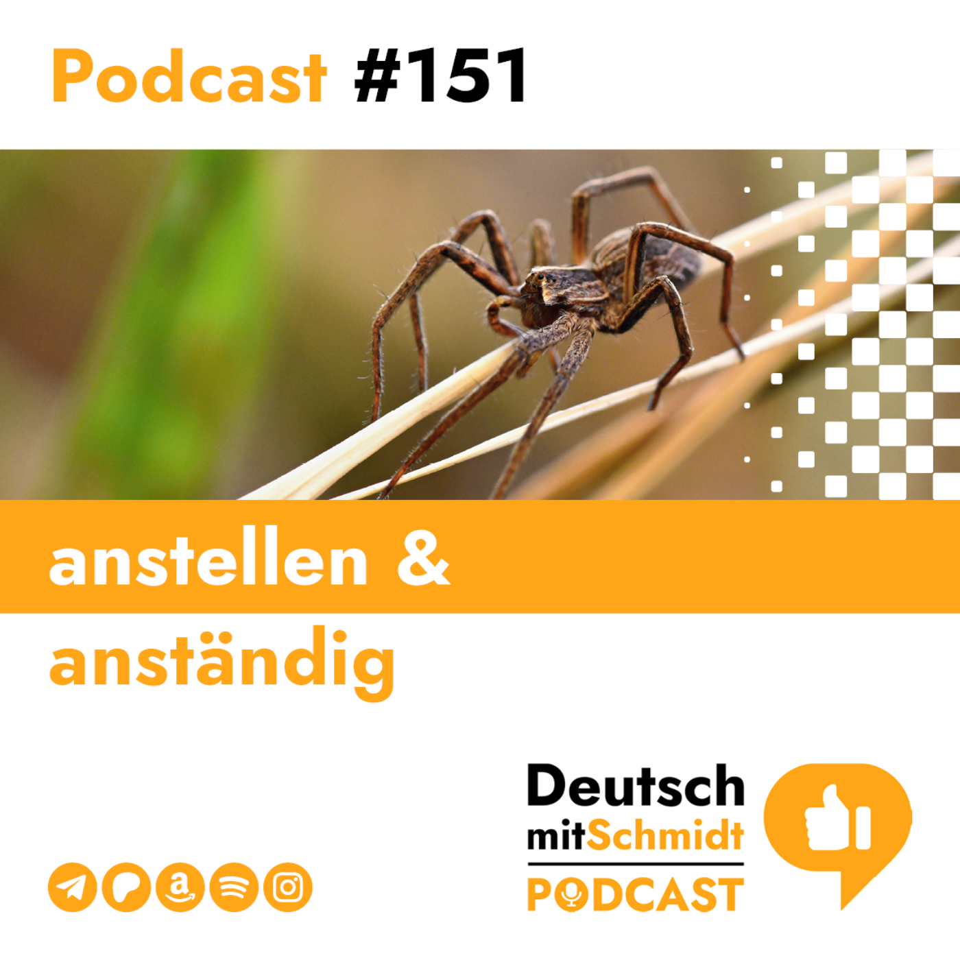 DMS151 - anstellen & anständig
