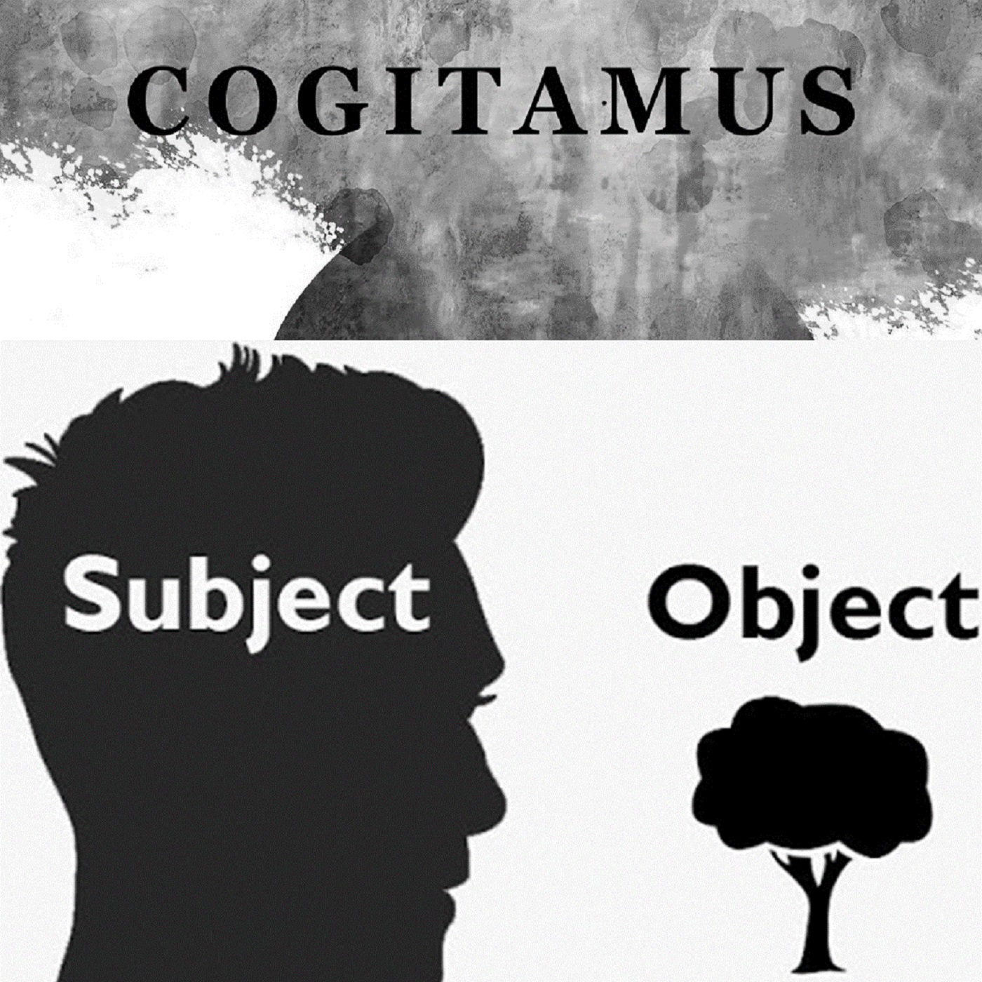 cogitamus