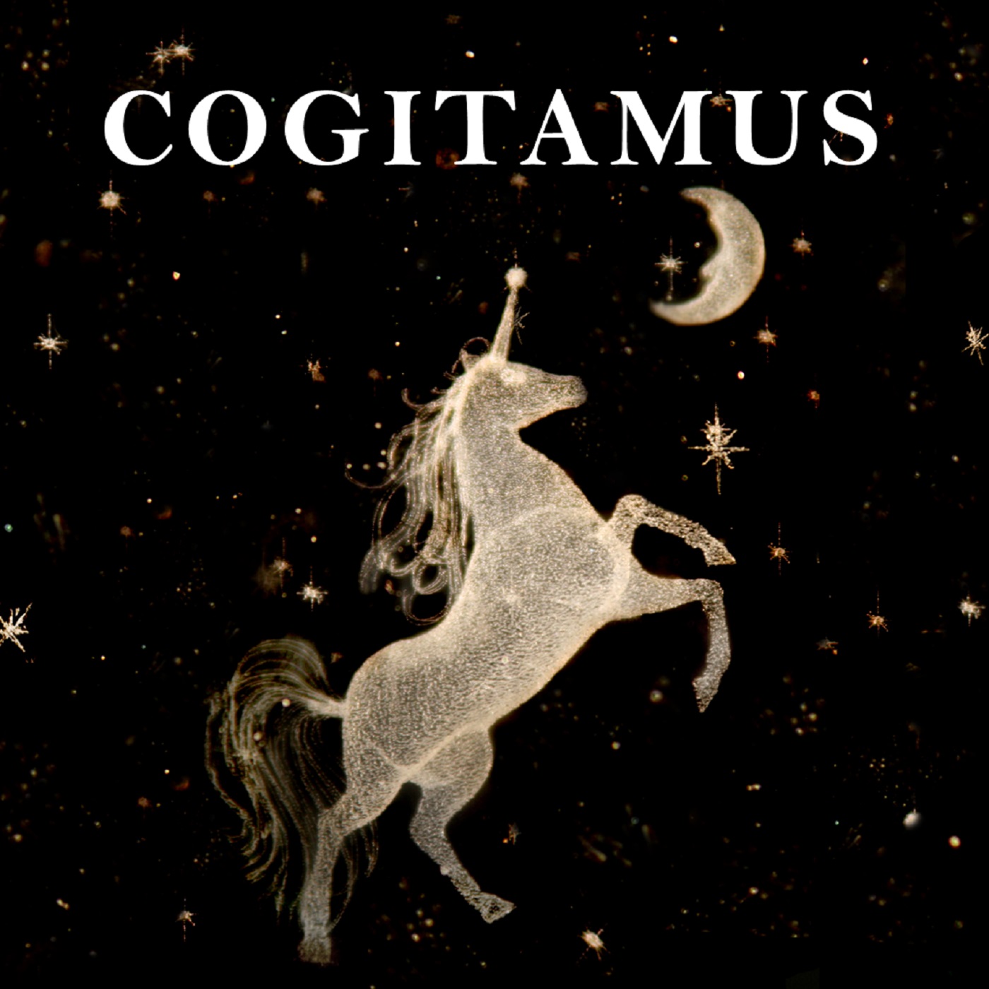 cogitamus