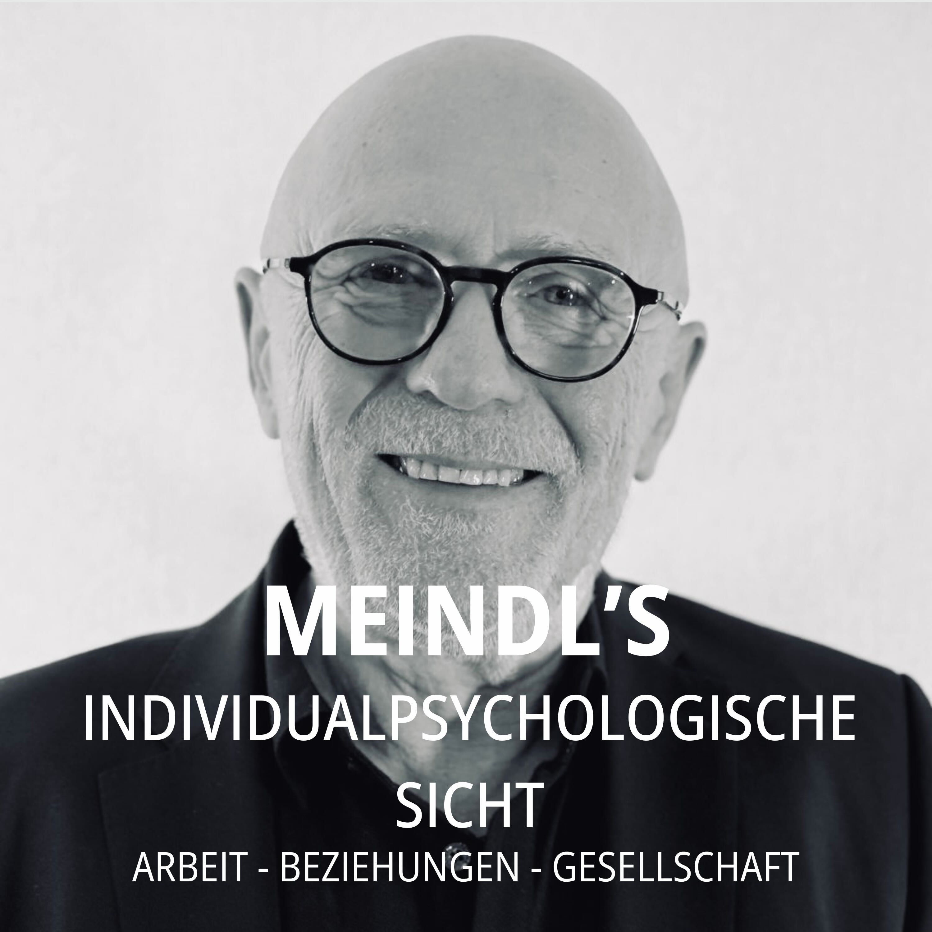 Meindl's Individualpsychologische Sicht