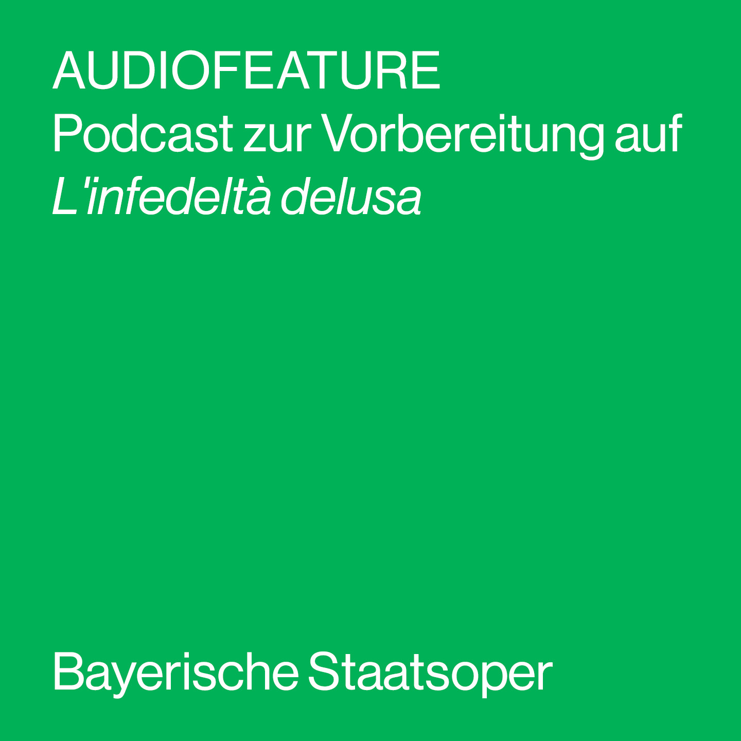 AUDIOFEATURE
