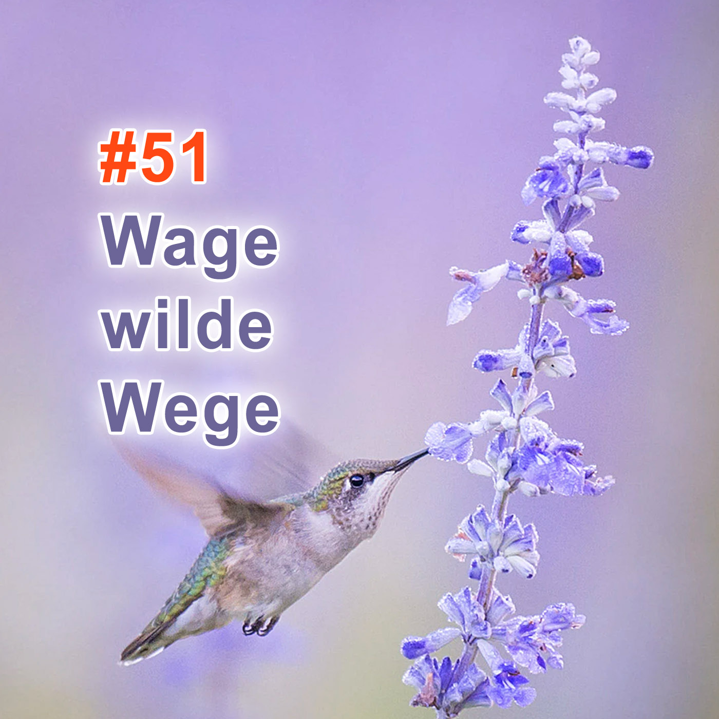 wage wilde Wege – der #freiraumpodcast für feinfühlige Menschen