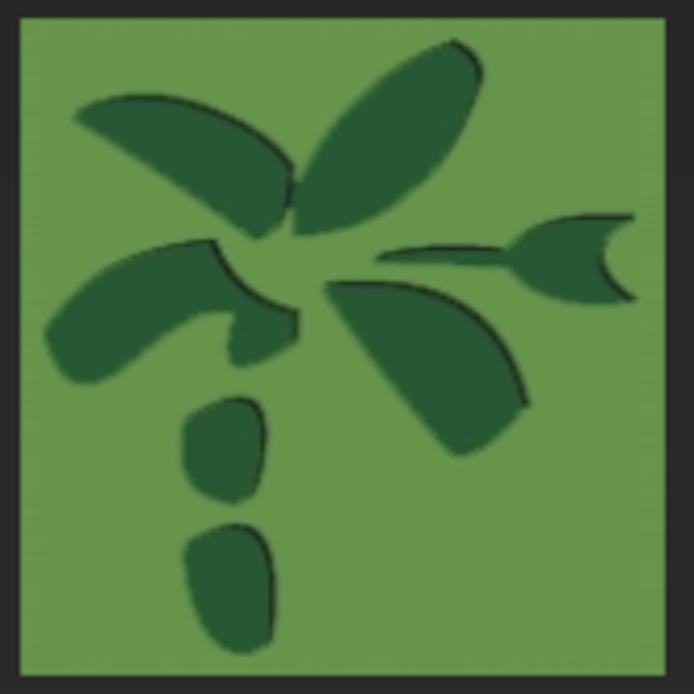 Armut und Umwelt in Amazonien, Interview mit Johann Graf von POEMA e.V.