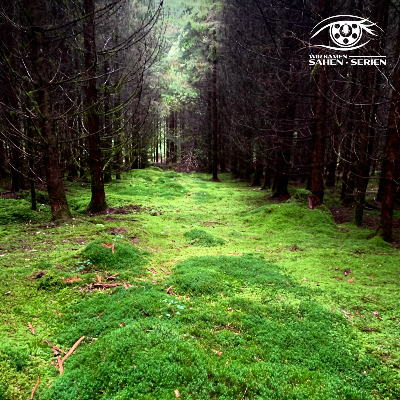 Wir kamen, sahen, Serien