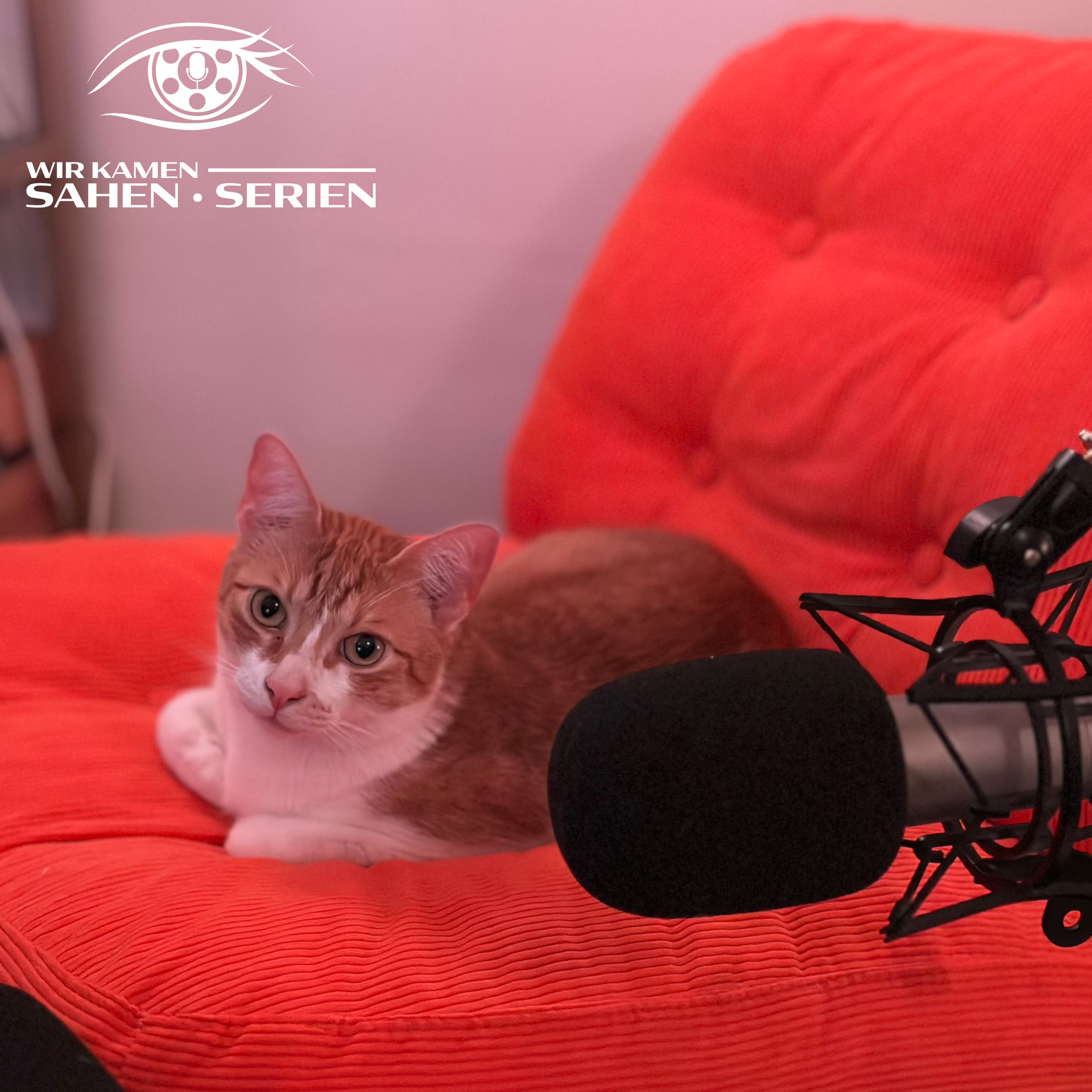 Wir kamen, sahen, Serien