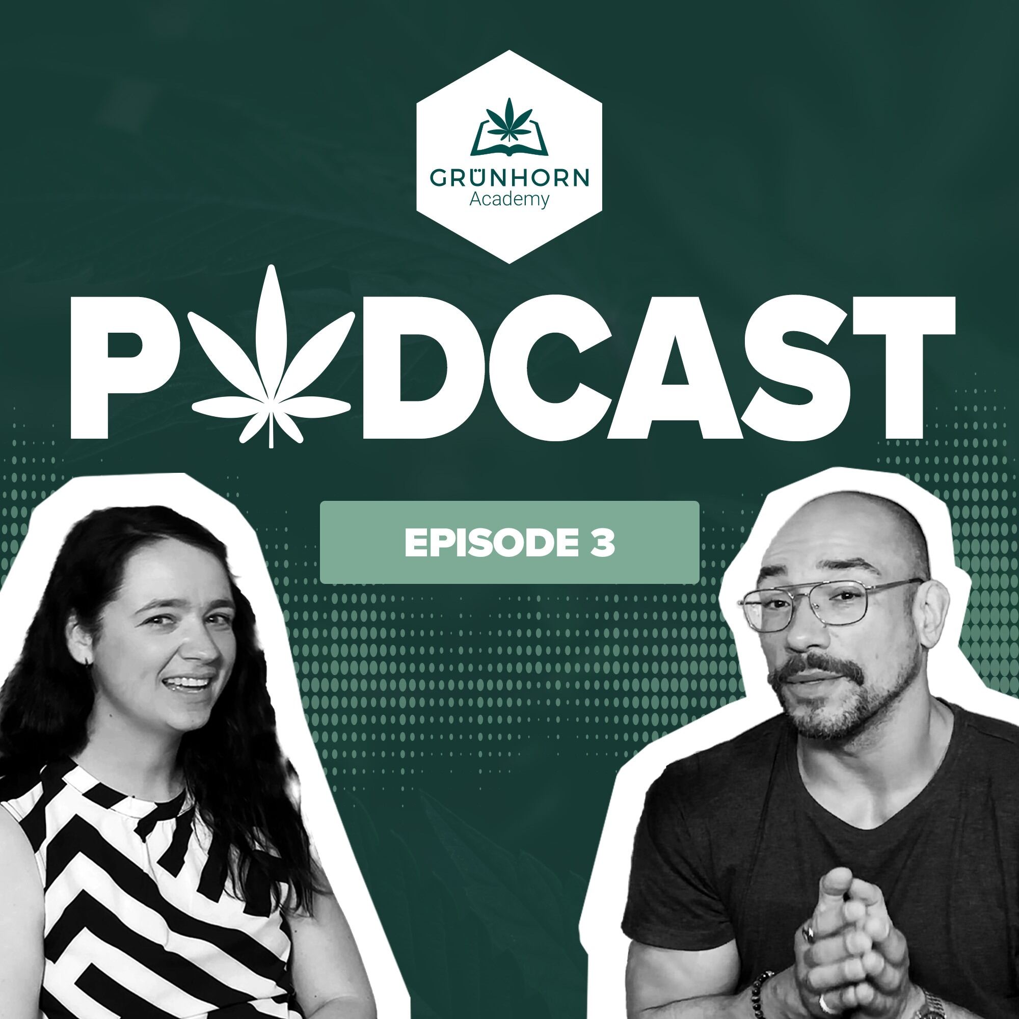 #31 Teil 3: Medizin oder Lifestyle? – Max Pollux über Konsumkultur und den Alltag mit Cannabistherapie