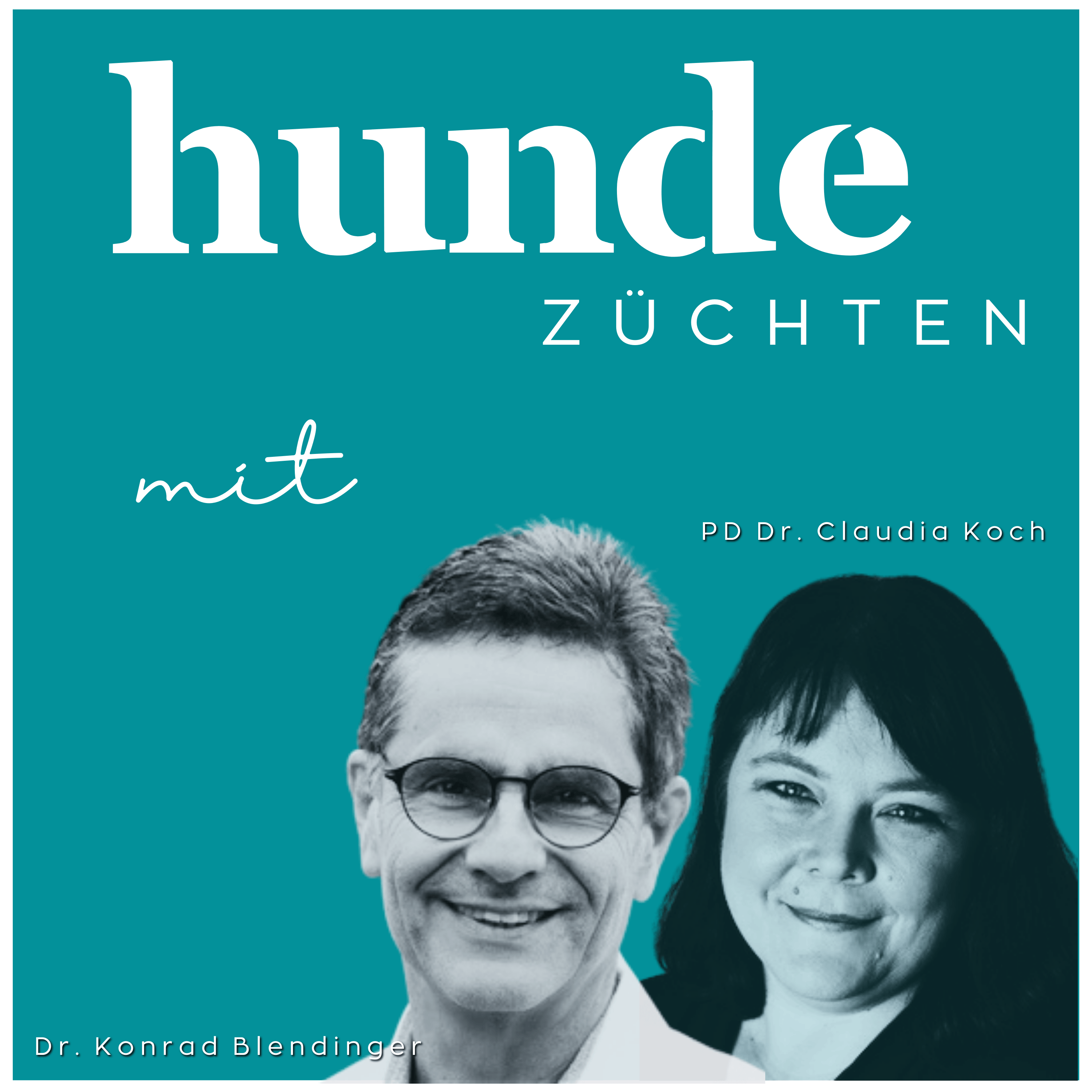 Hunde züchten
