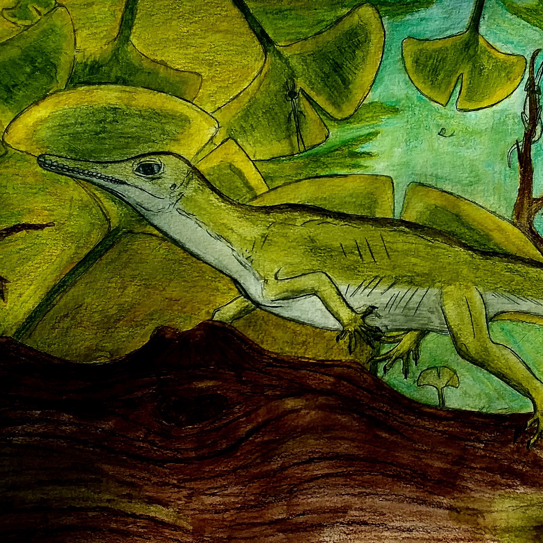 Oculudentavis khaungraae - der Mini-Dinosaurier