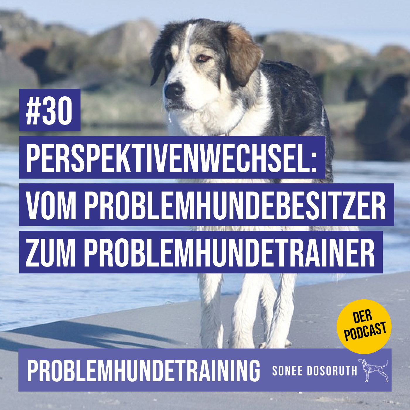 Problemhundetraining