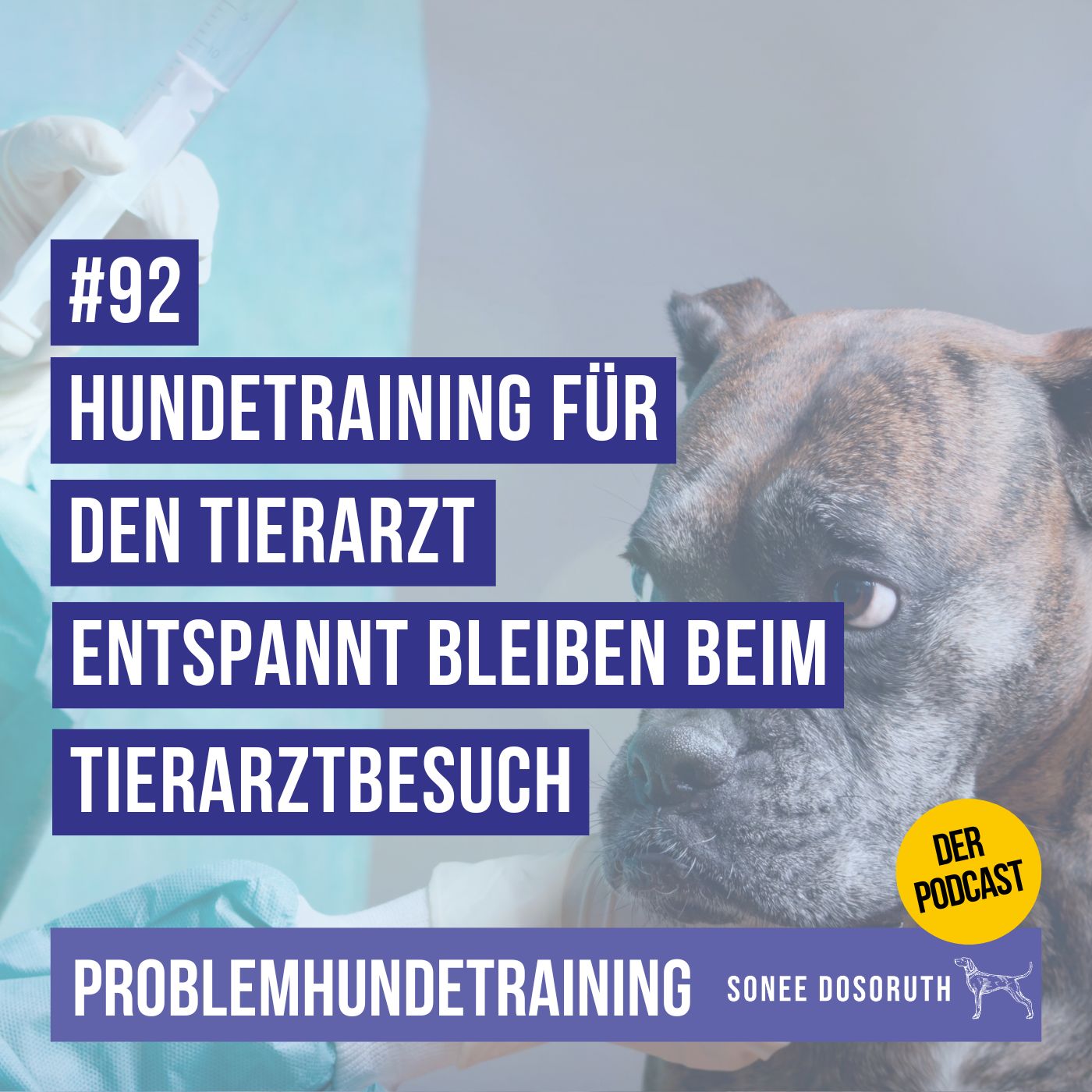 Hundetraining für den Tierarzt: Entspannt bleiben beim Tierarztbesuch