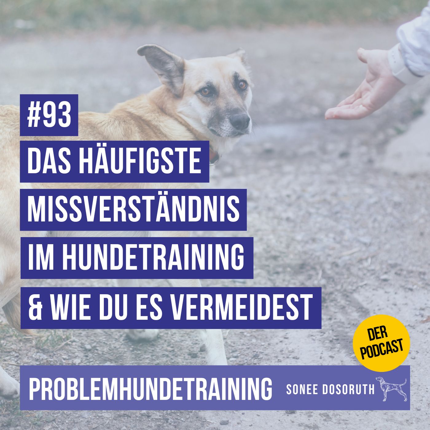 Das häufigste Missverständnis im Hundetraining – und wie du es vermeidest