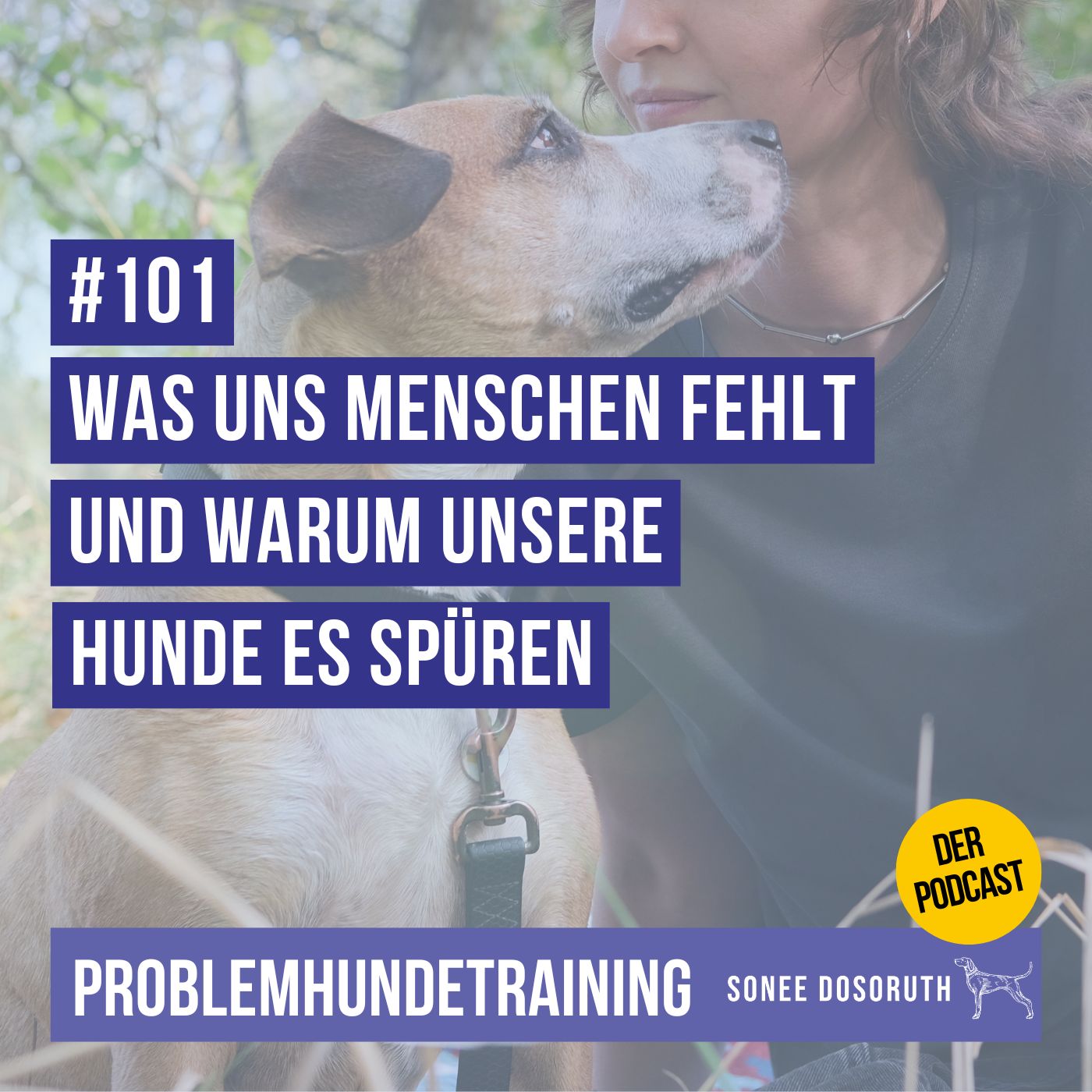 Was uns Menschen fehlt - und warum unsere Hunde es spüren