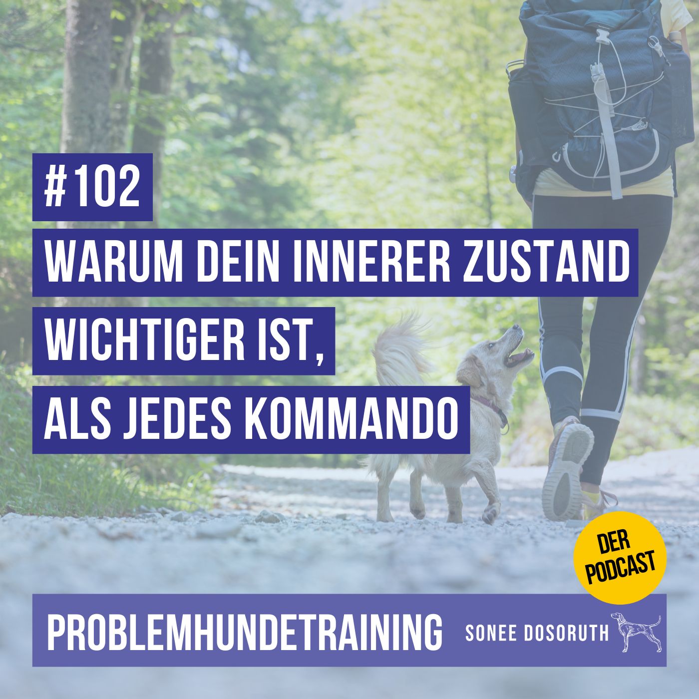 Warum dein innerer Zustand wichtiger ist, als jedes Kommando.