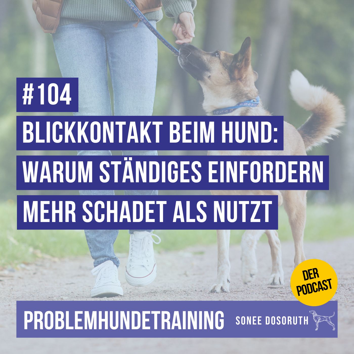 Blickkontakt beim Hund: Warum ständiges Einfordern mehr schadet als nützt